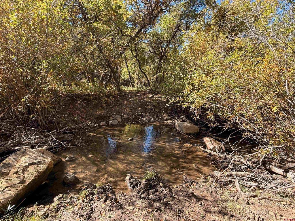 TBD County Road 710