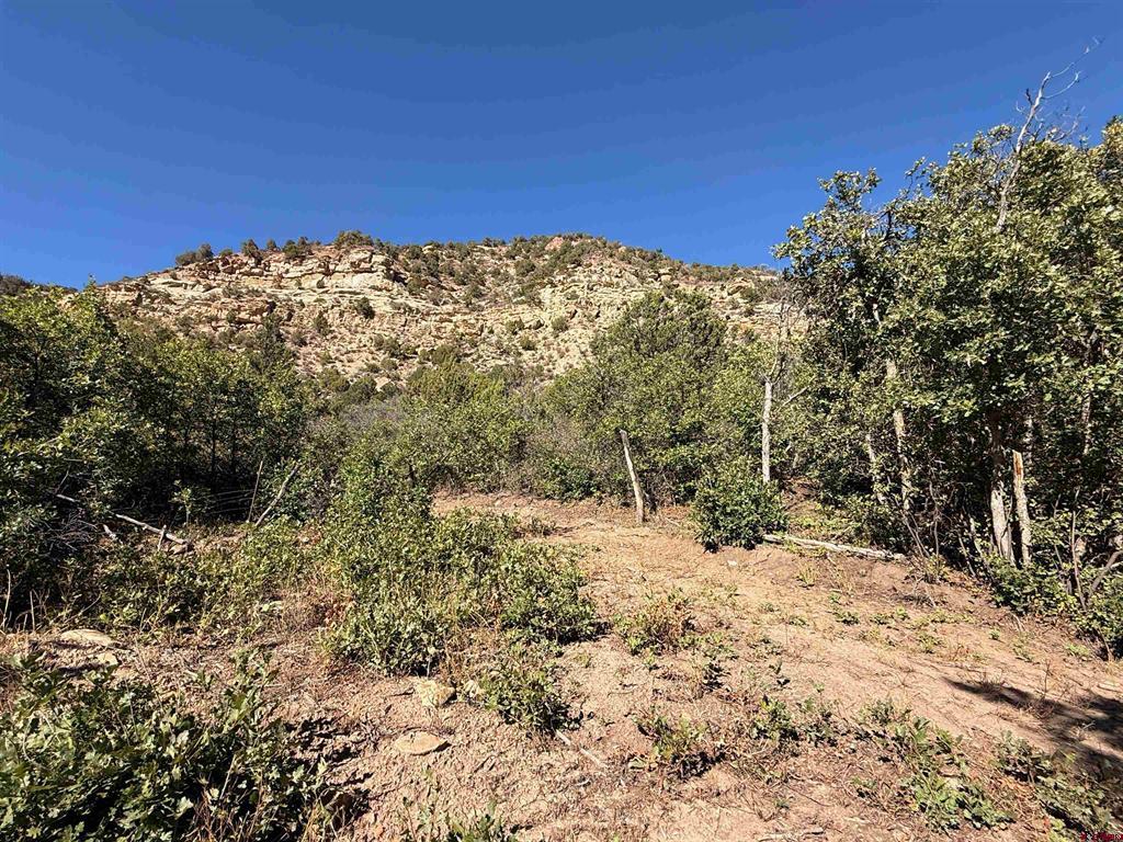 TBD County Road 710