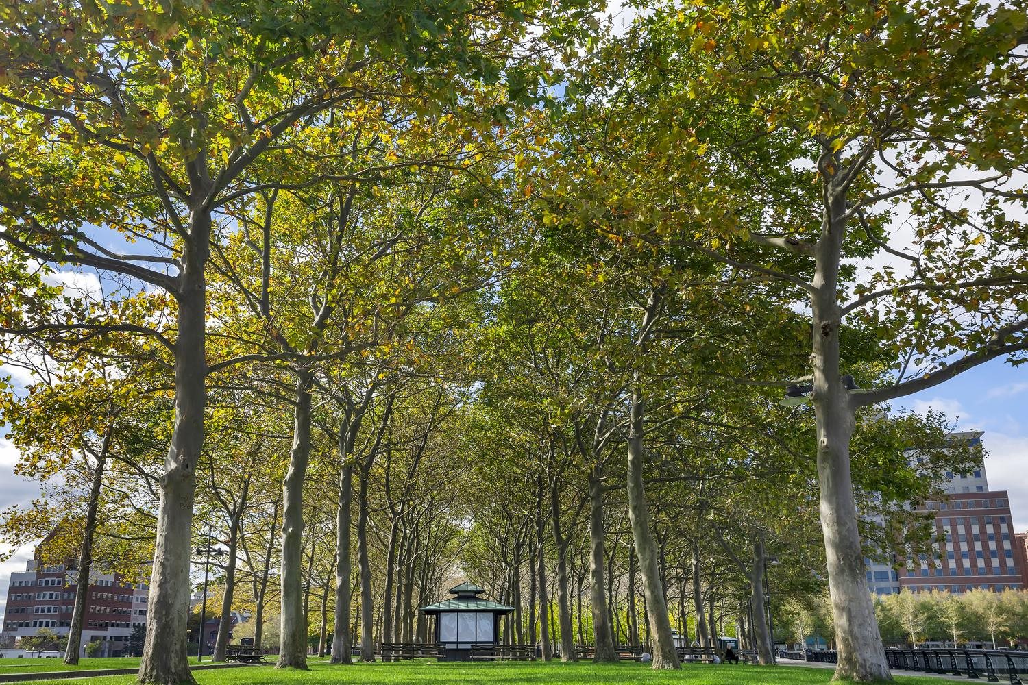 110 WASHINGTON ST Unit: 8