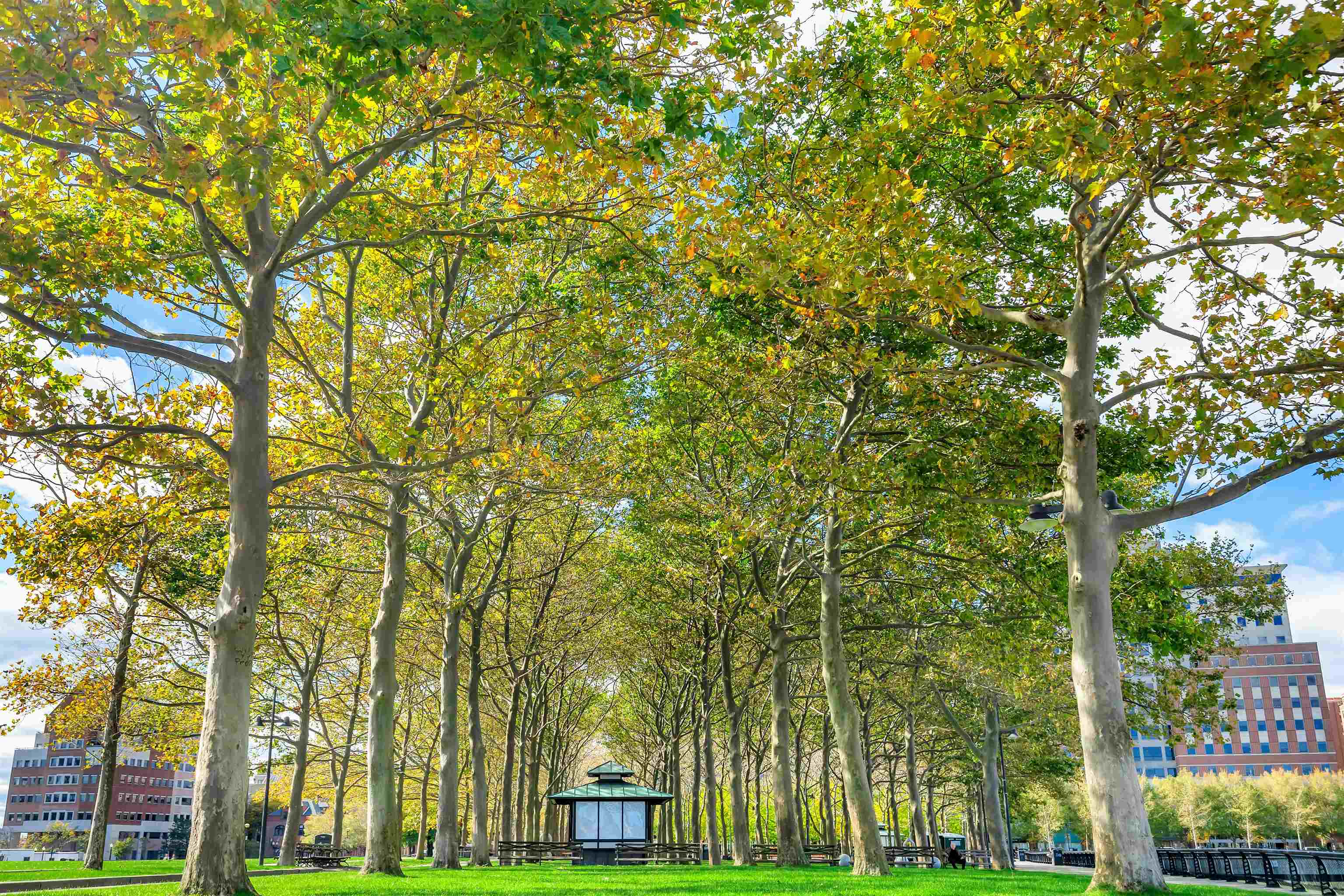 1107 WASHINGTON ST Unit: 6