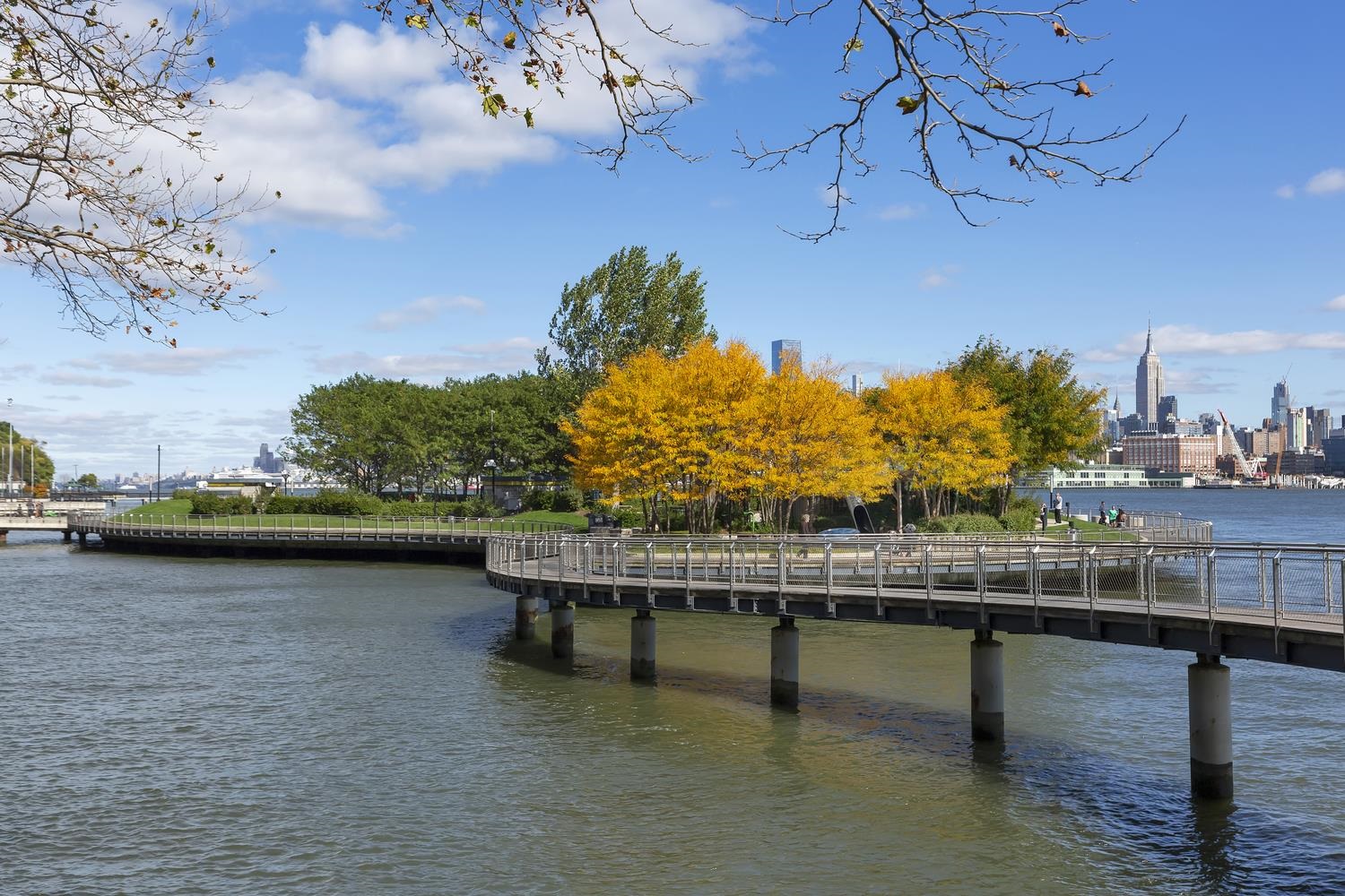 709 ADAMS ST Unit: 6