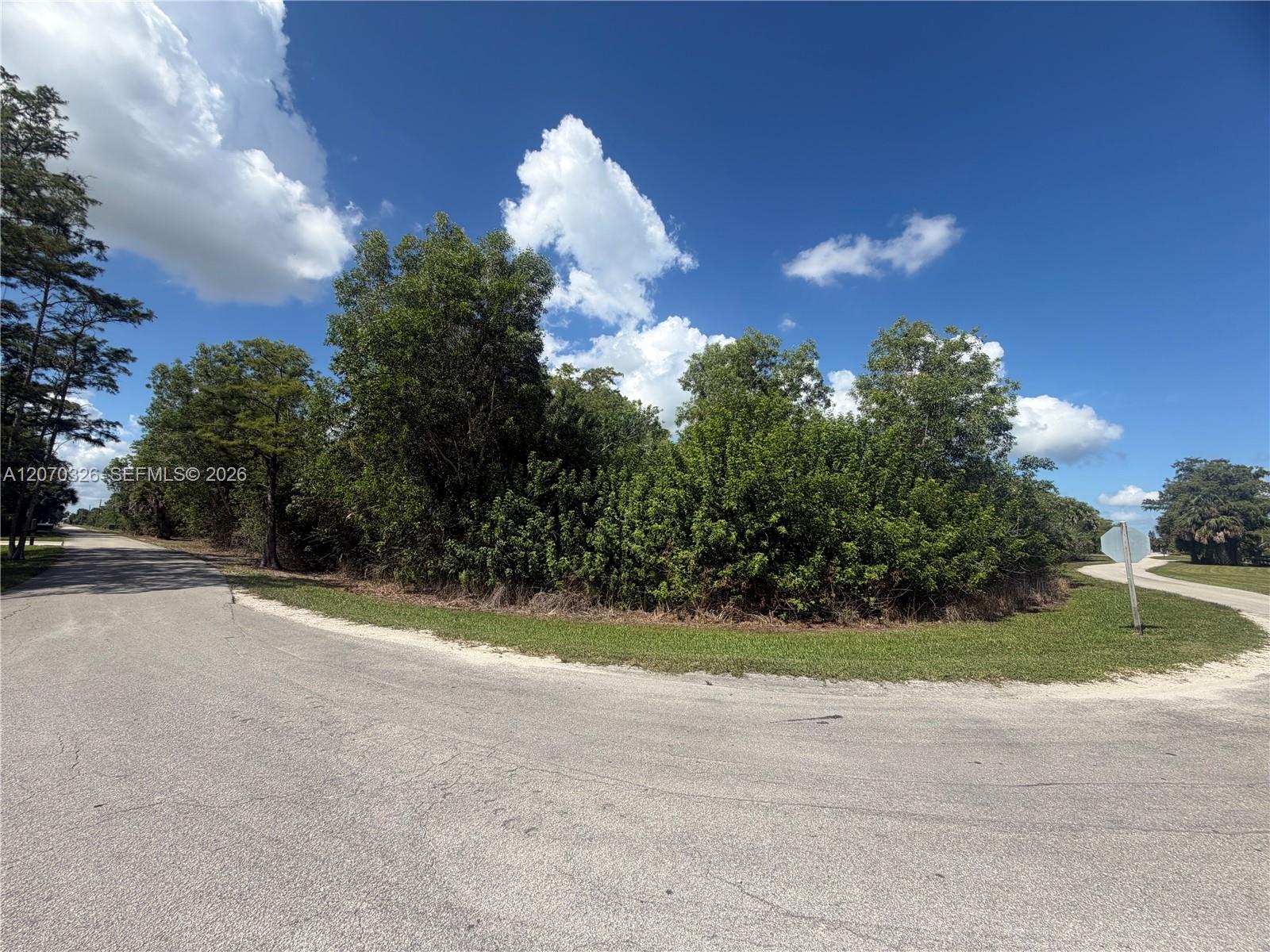 19556 Black Falcon Rd