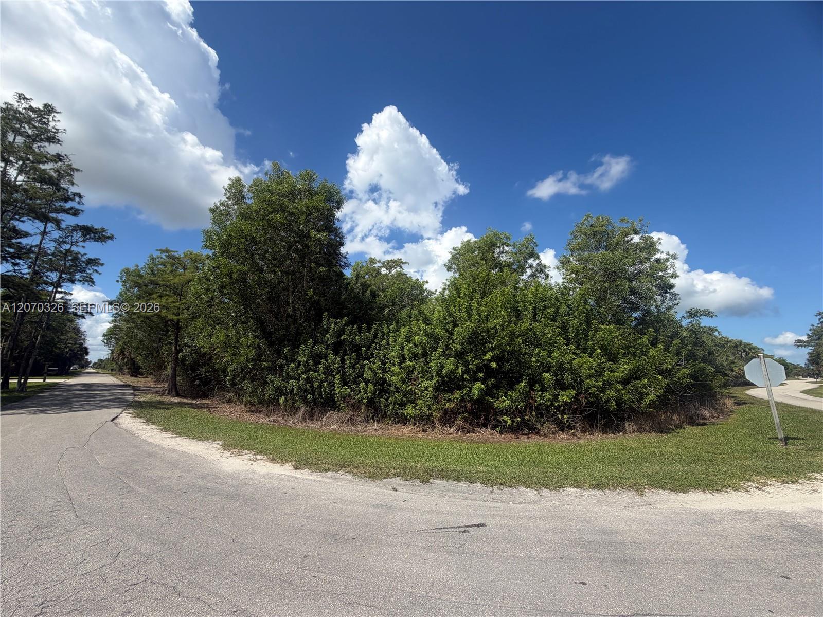 19556 Black Falcon Rd