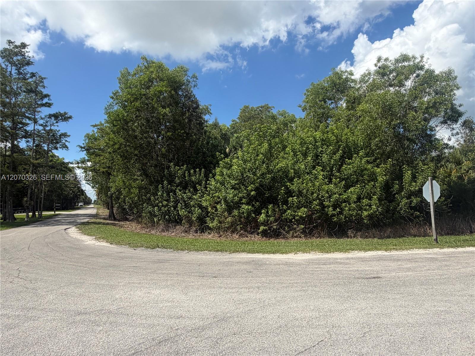 19556 Black Falcon Rd