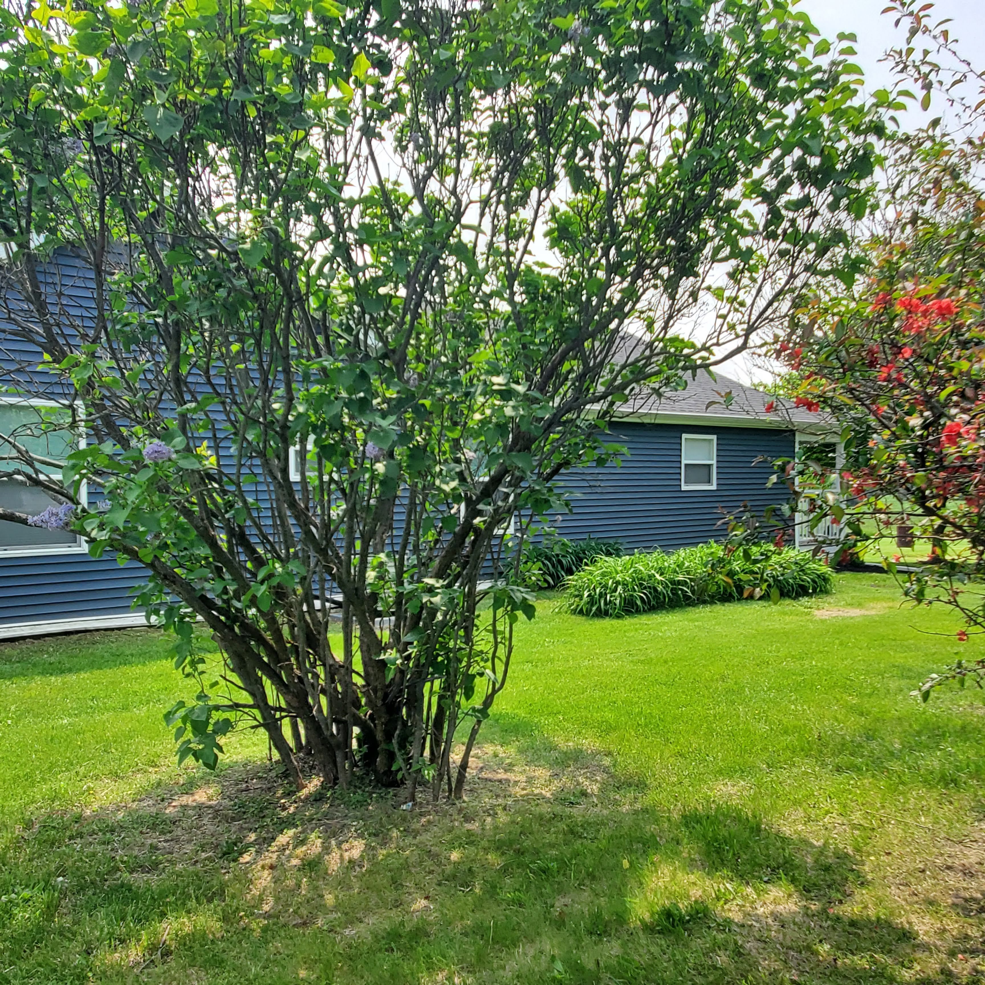 5253 N HENDERSON Road