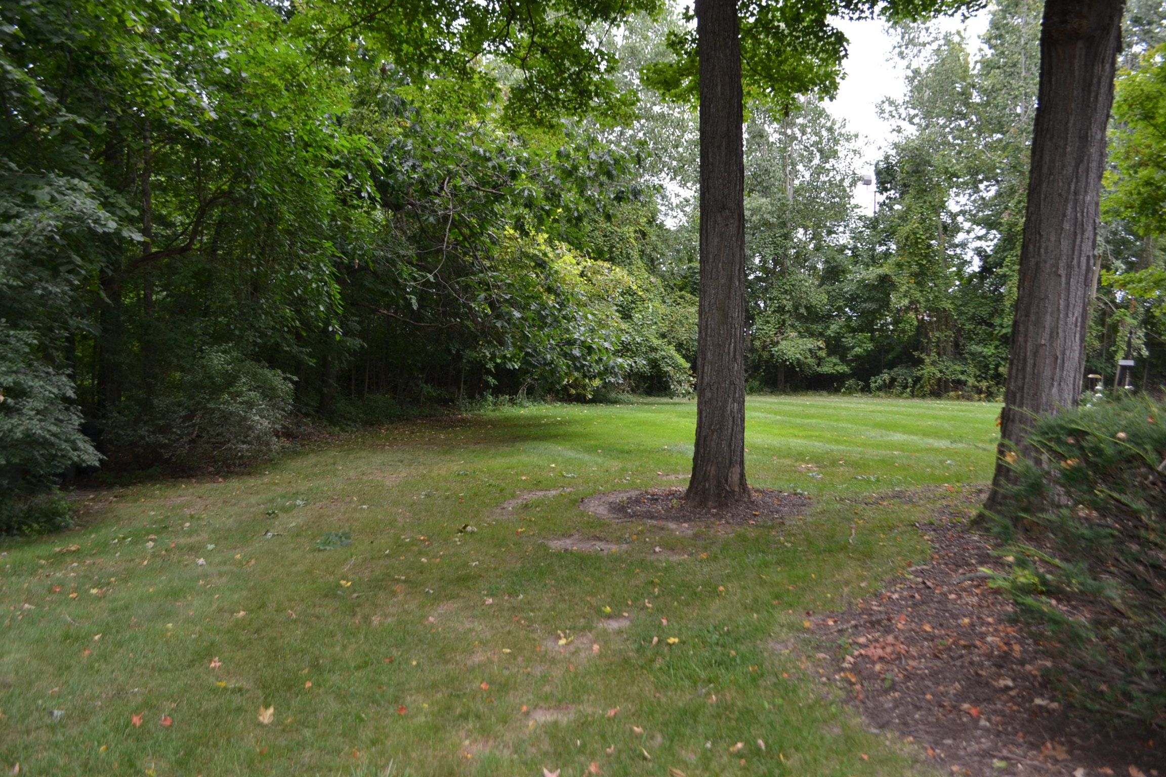 2114 KINGSWOOD Drive