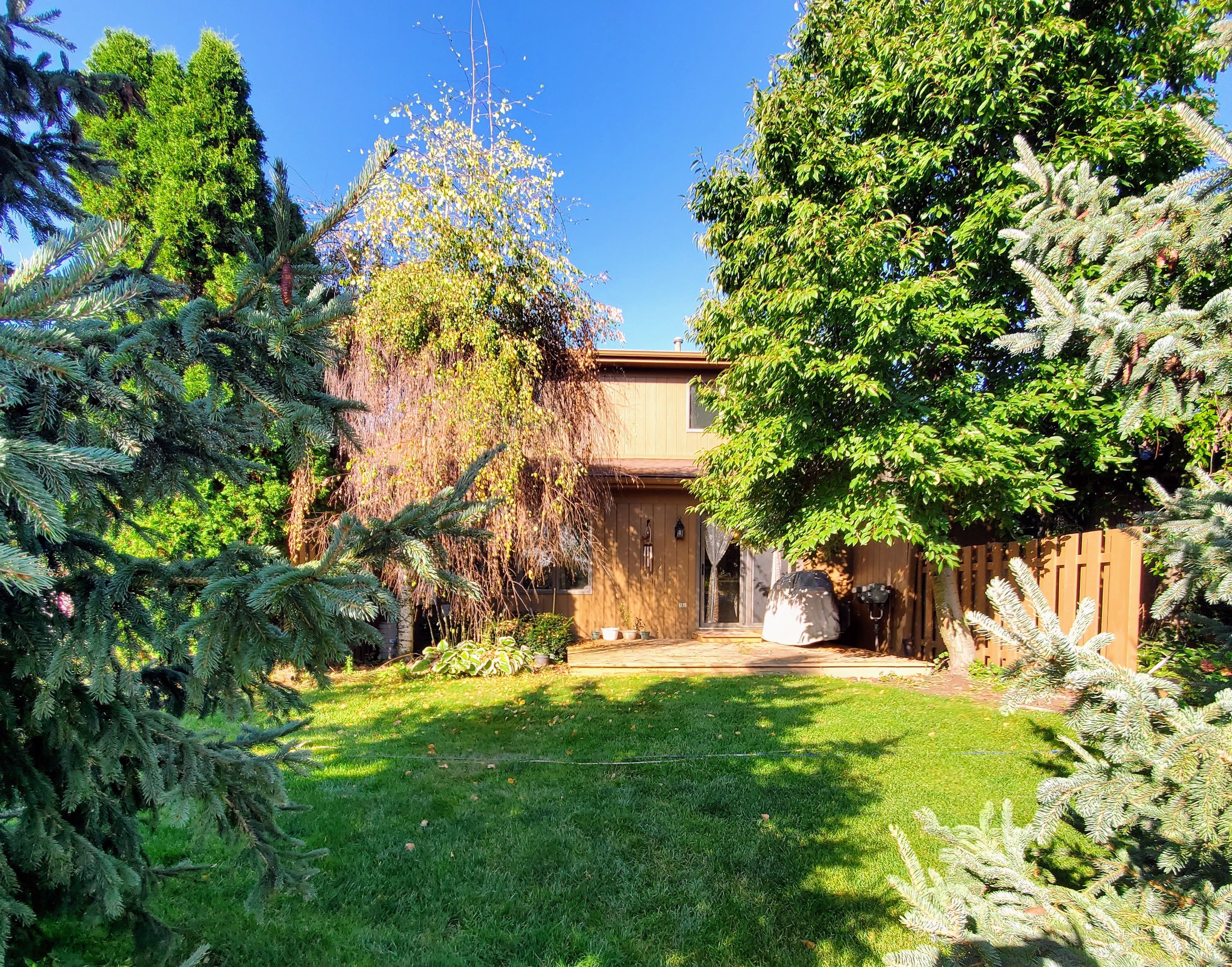 469 GROVELAND Drive