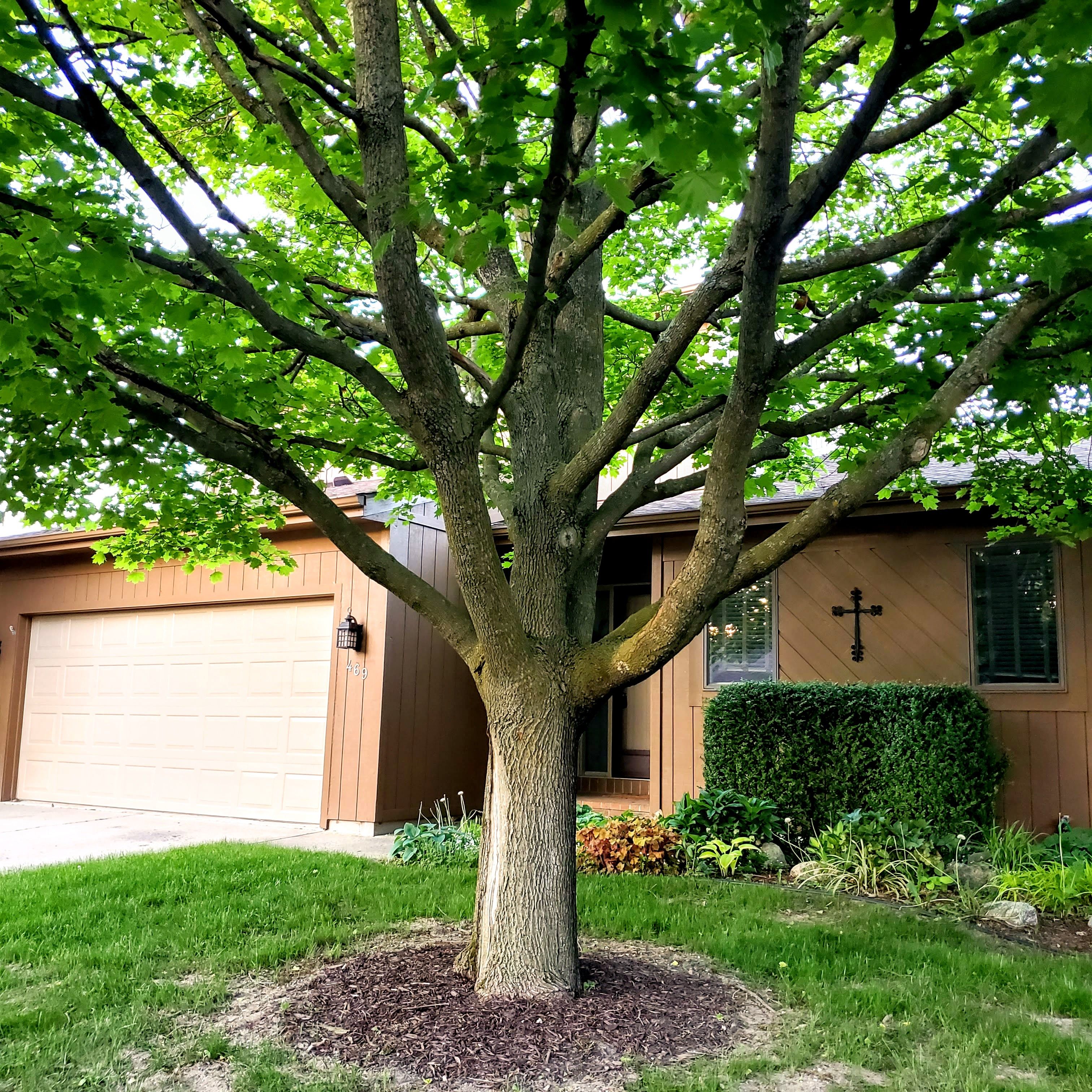 469 GROVELAND Drive