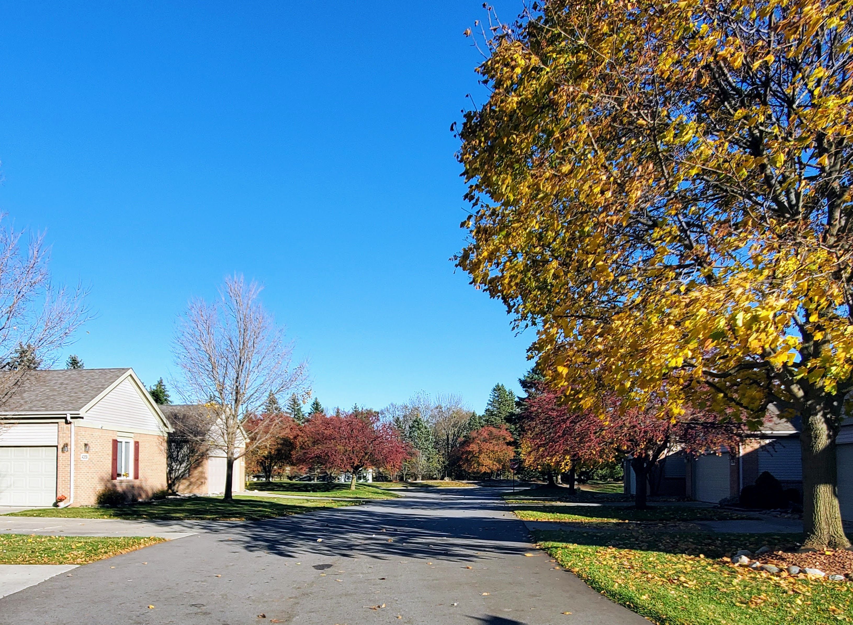 3030 FALCON Drive