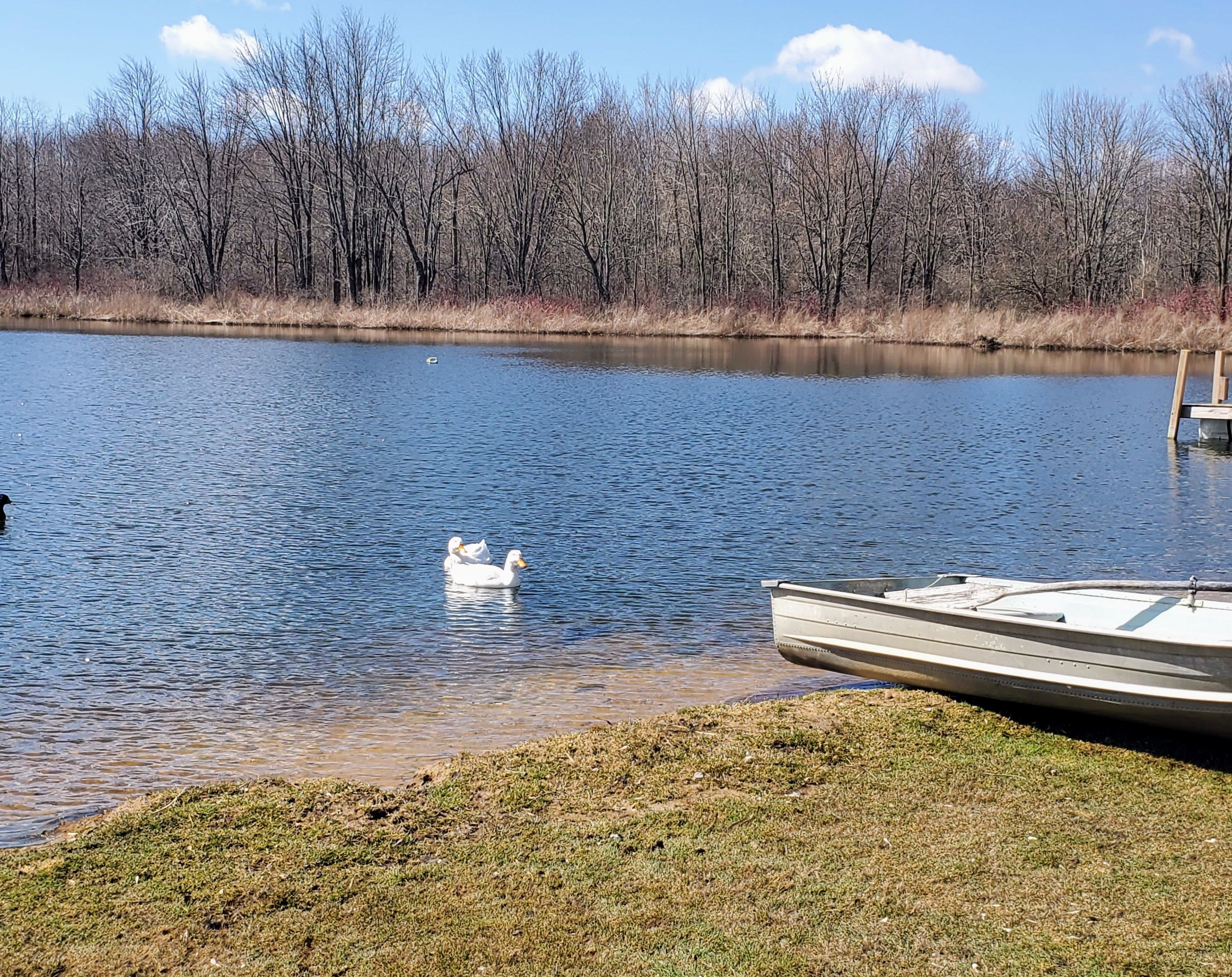 3030 PHELPS LAKE Road