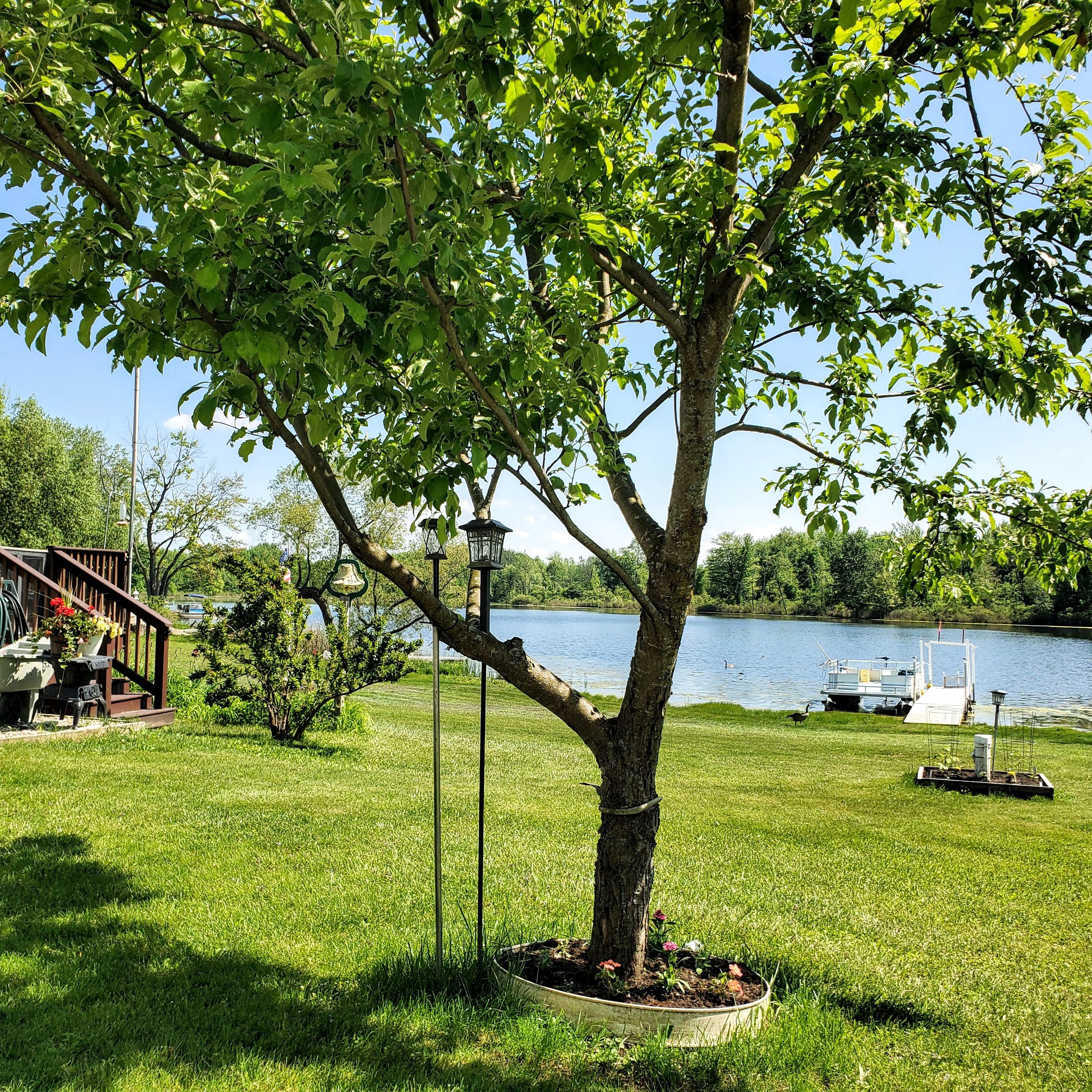 3030 PHELPS LAKE Road