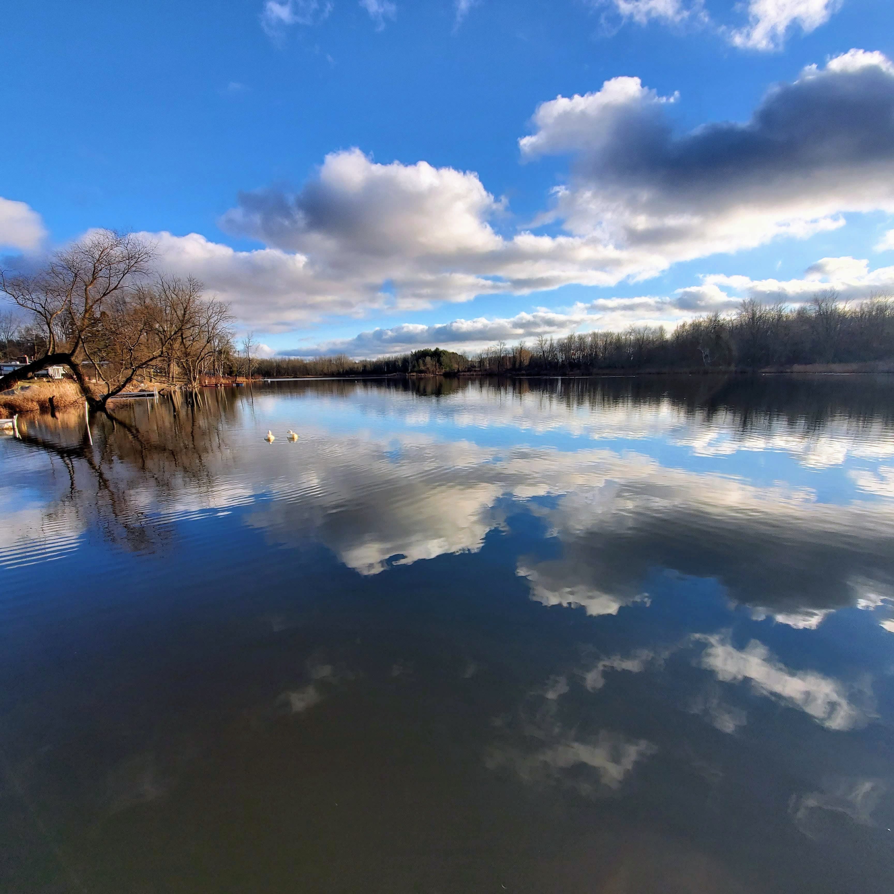 3030 PHELPS LAKE Road