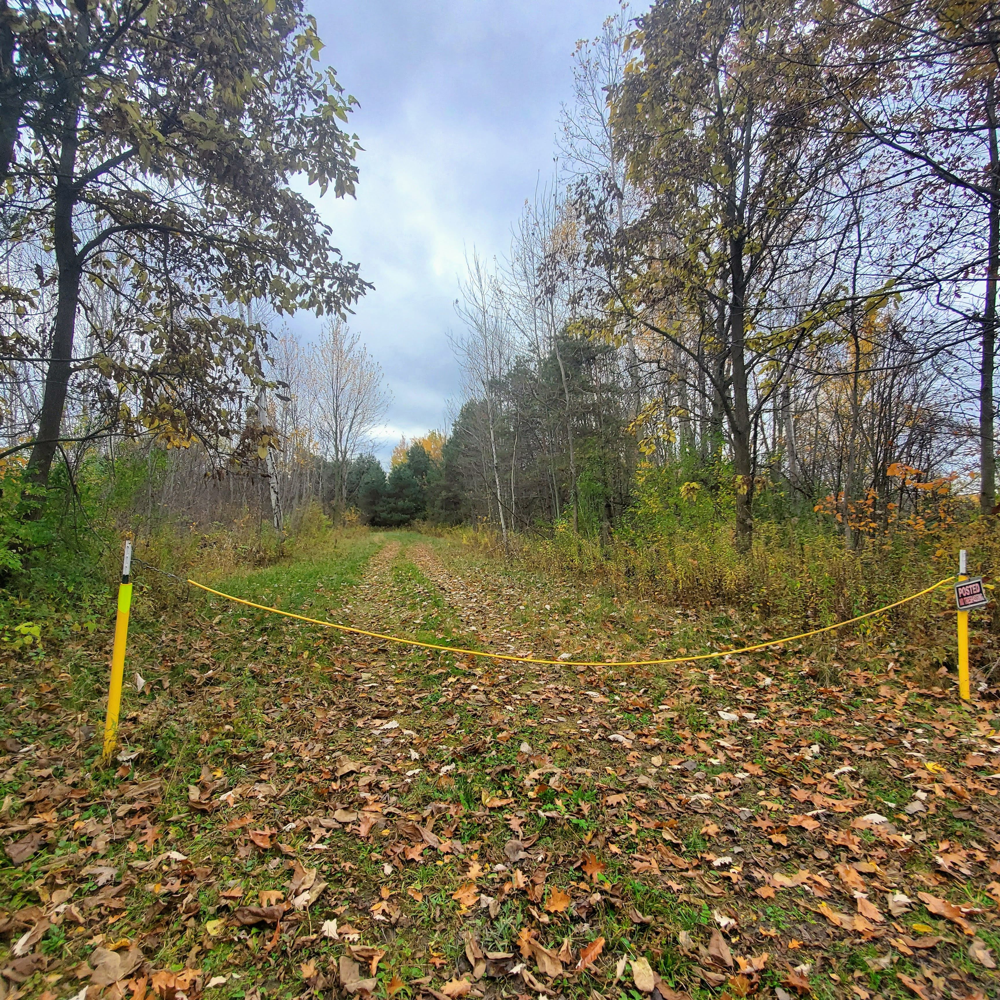 4441 W WILLARD Road
