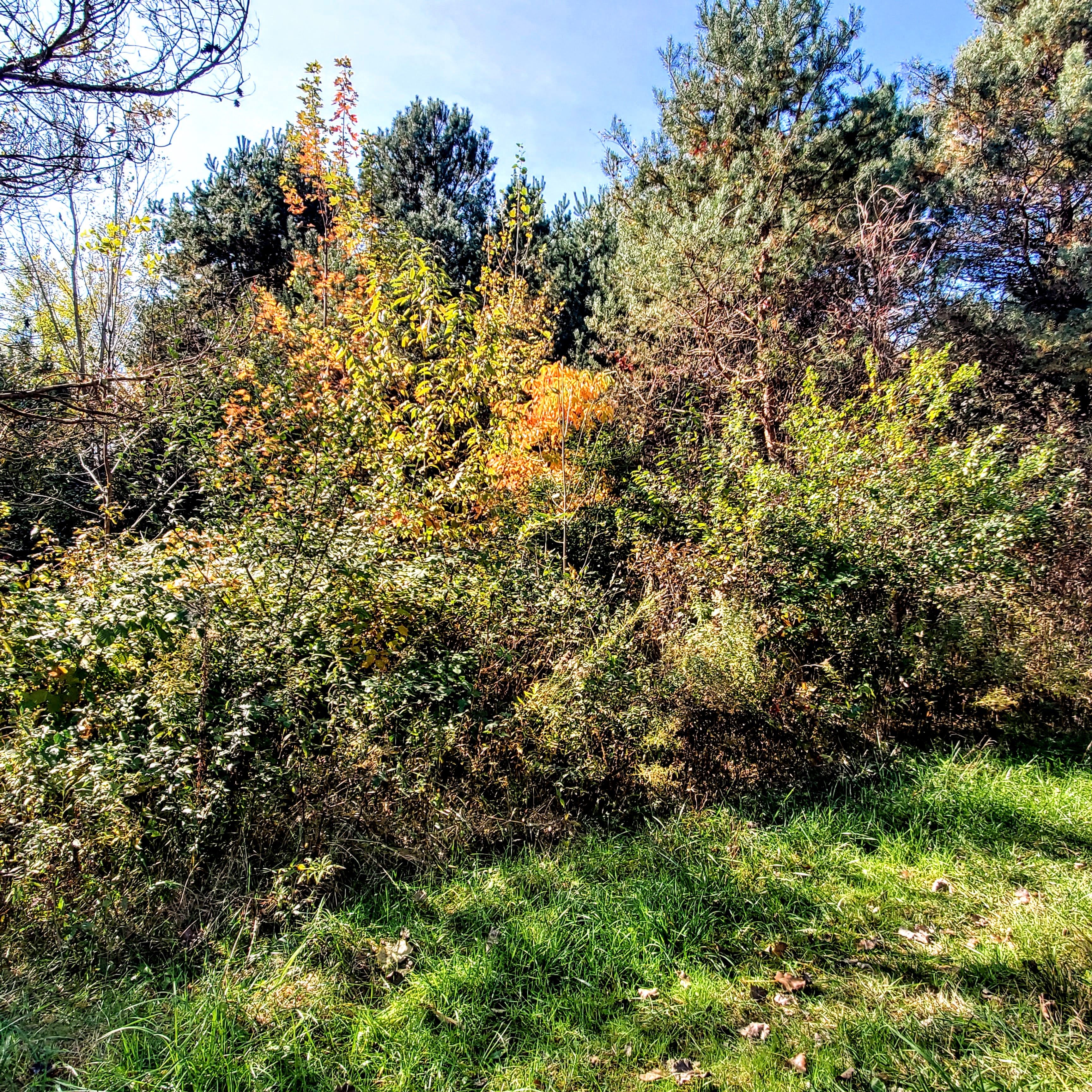 4441 W WILLARD Road