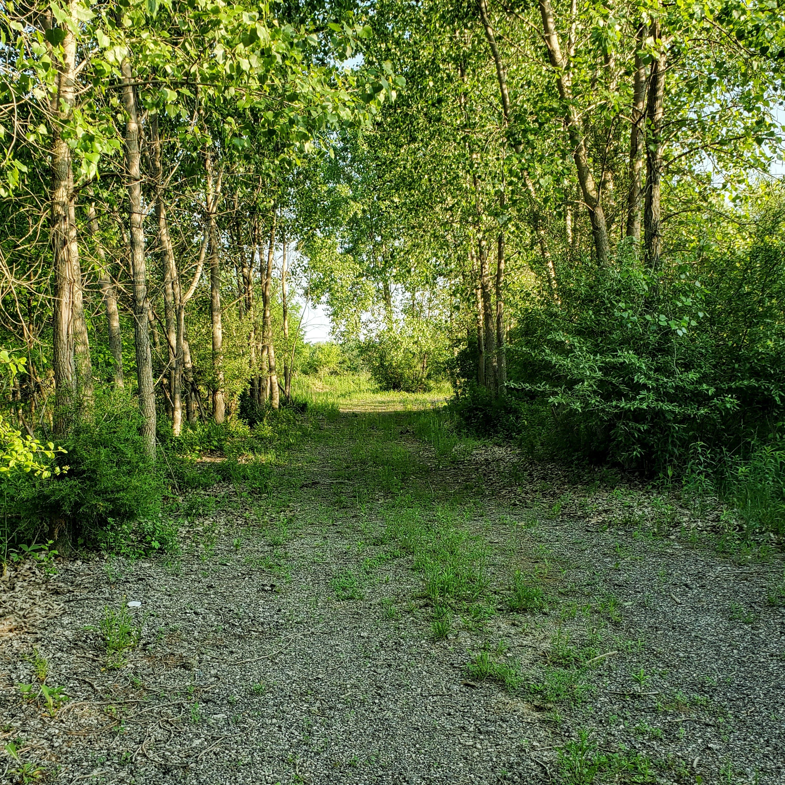 4441 W WILLARD Road
