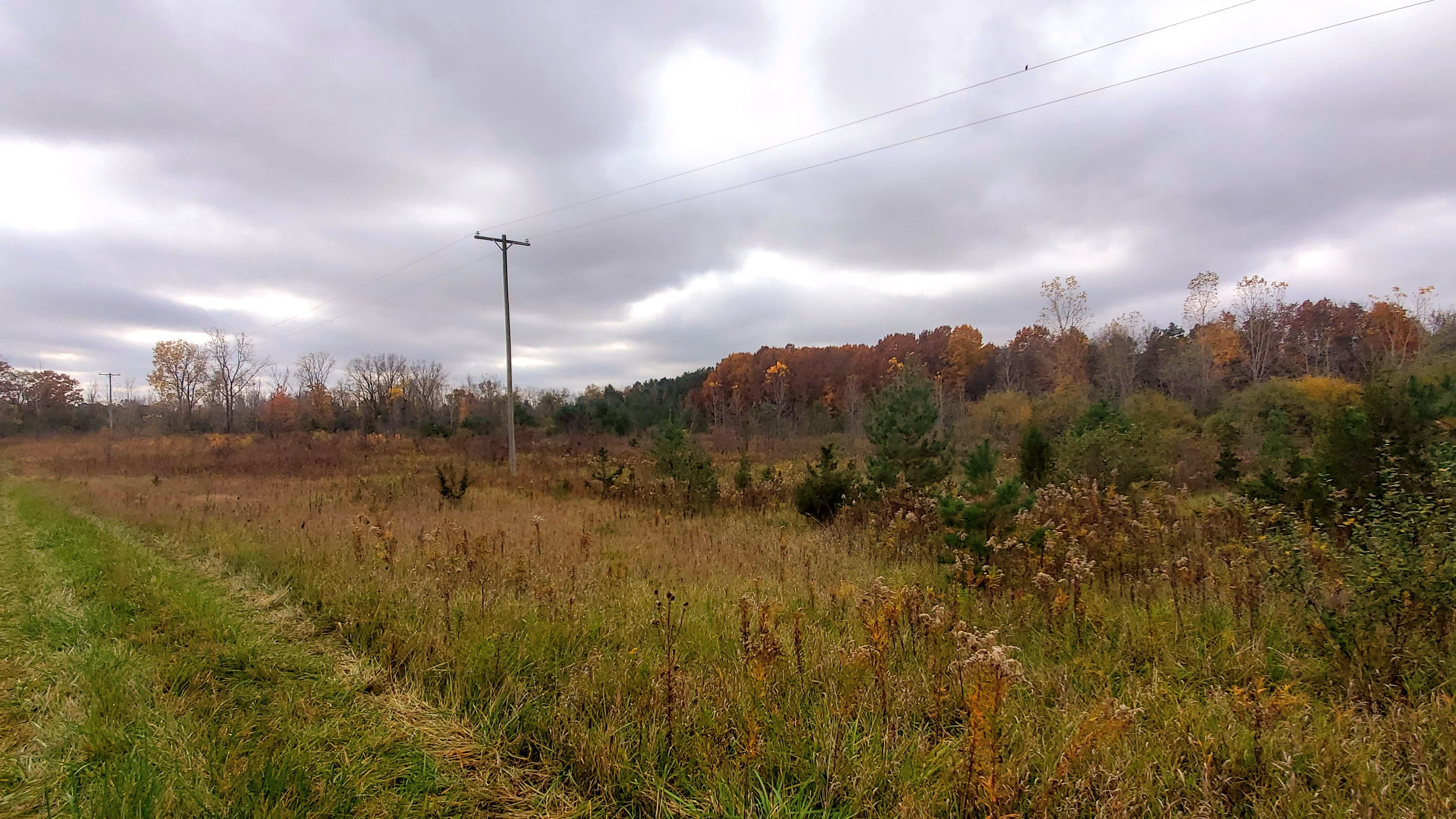 4441 W WILLARD Road