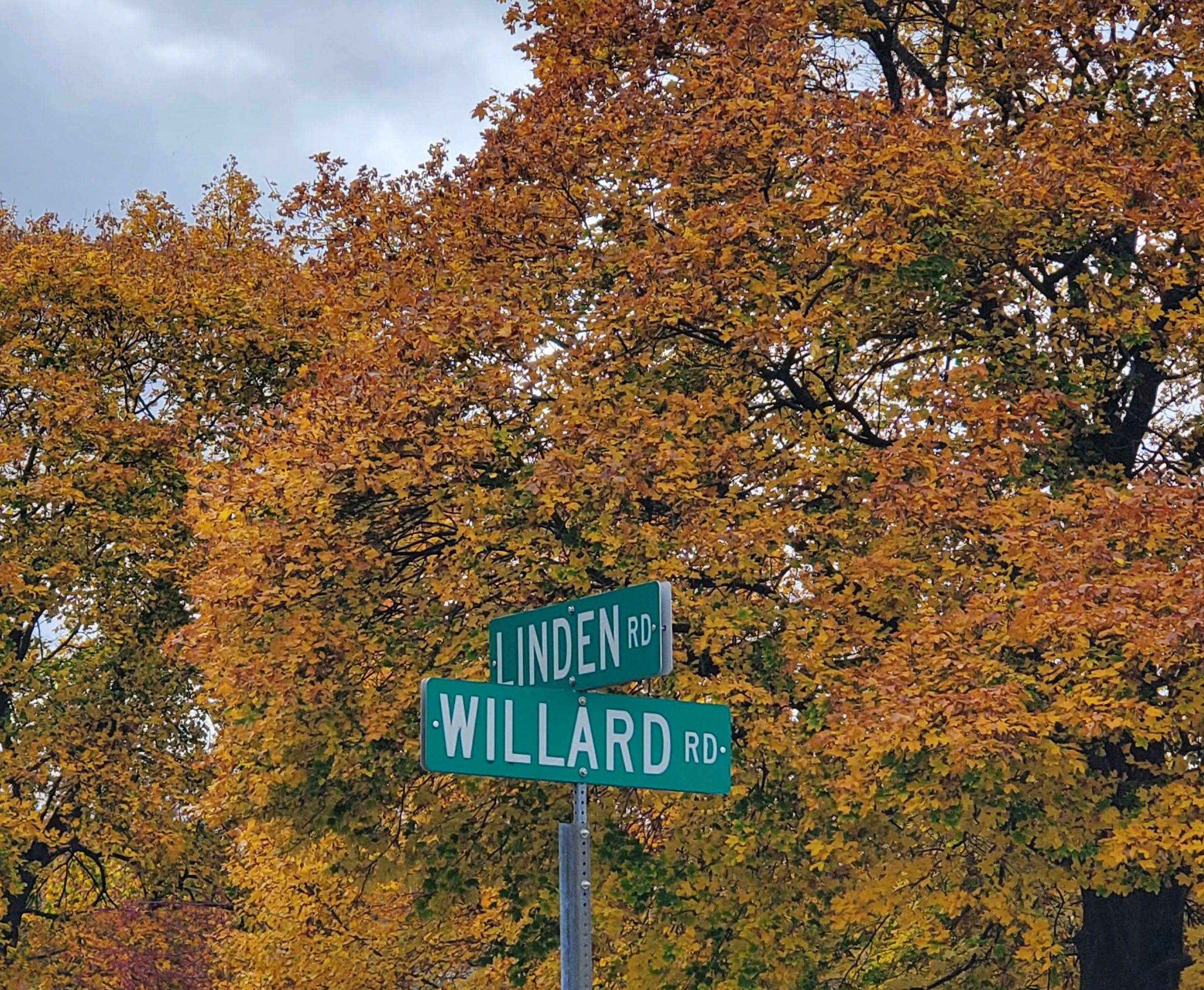 4441 W WILLARD Road