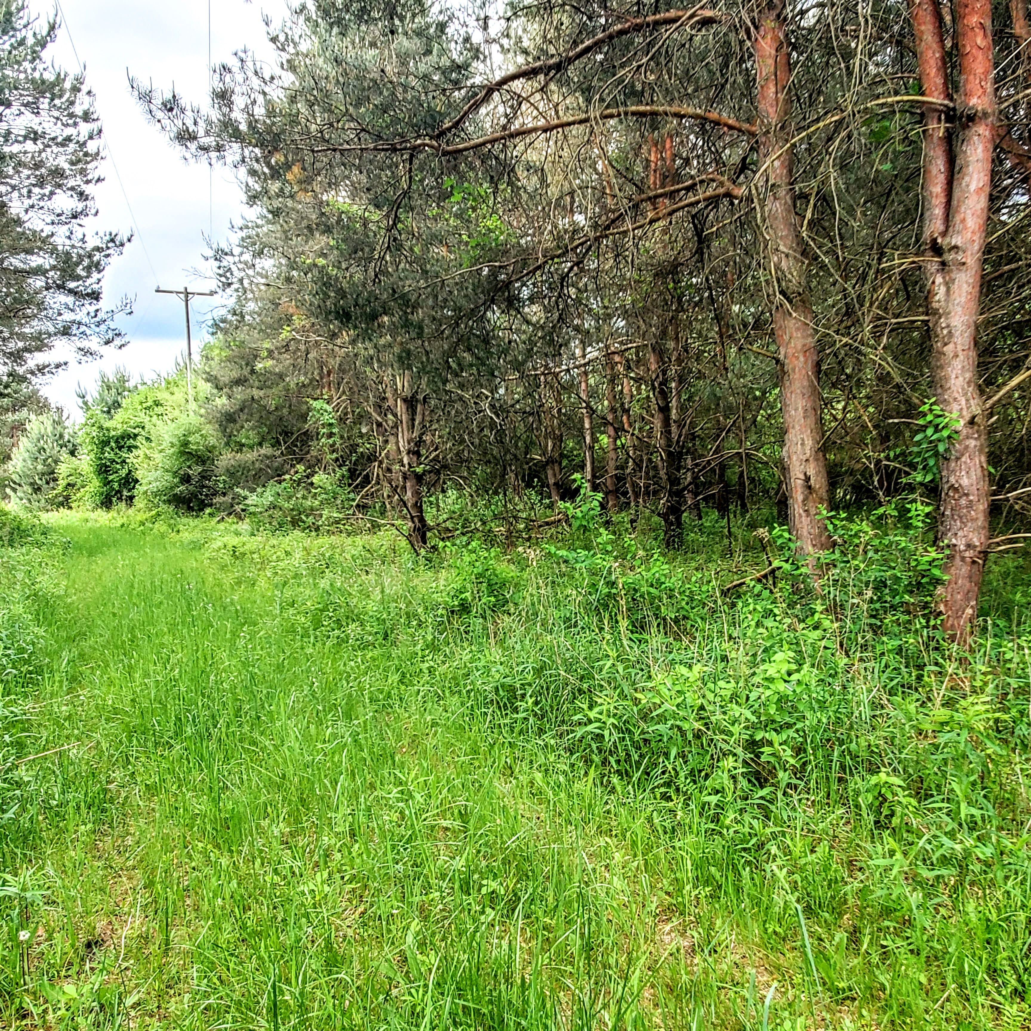 4441 W WILLARD Road