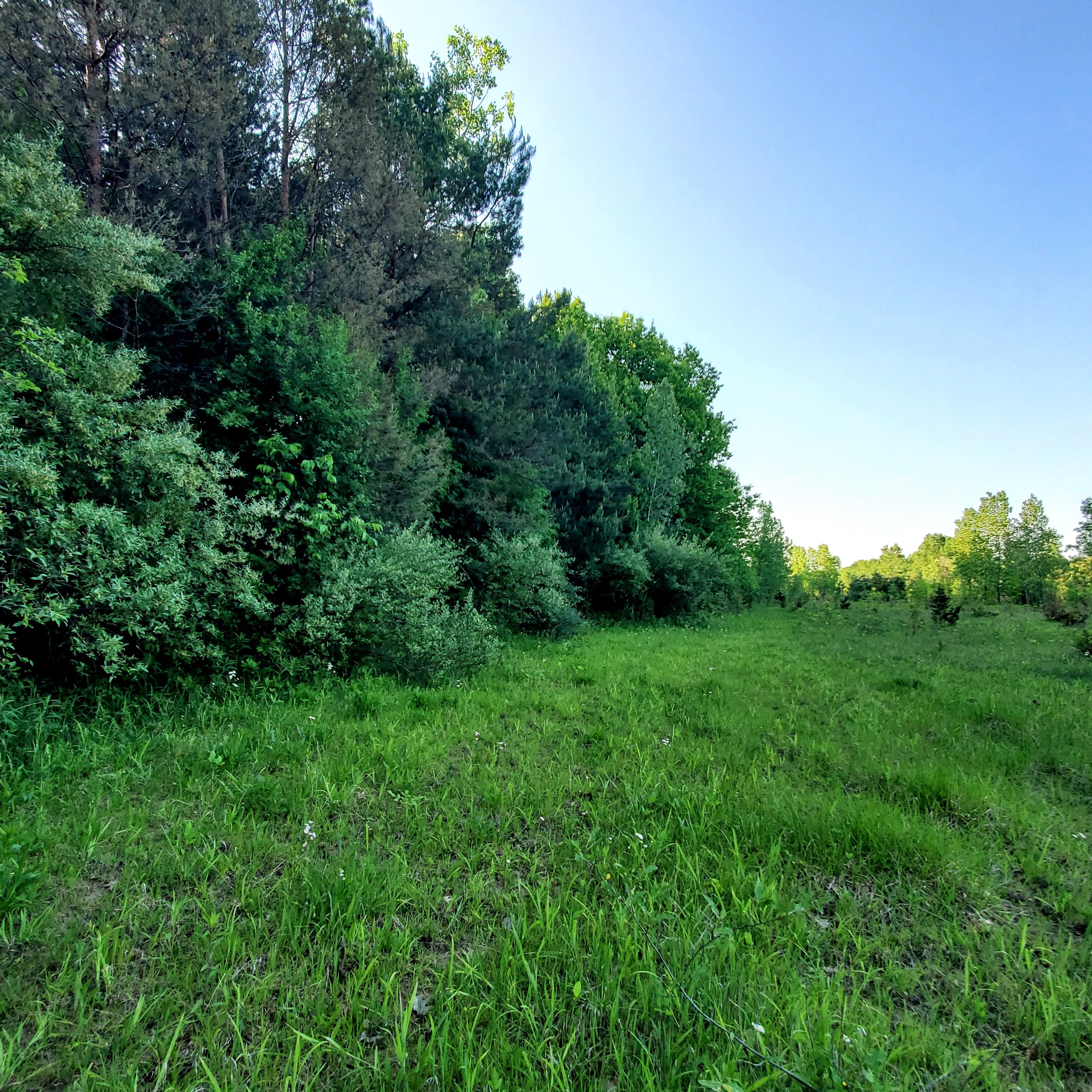 4441 W WILLARD Road