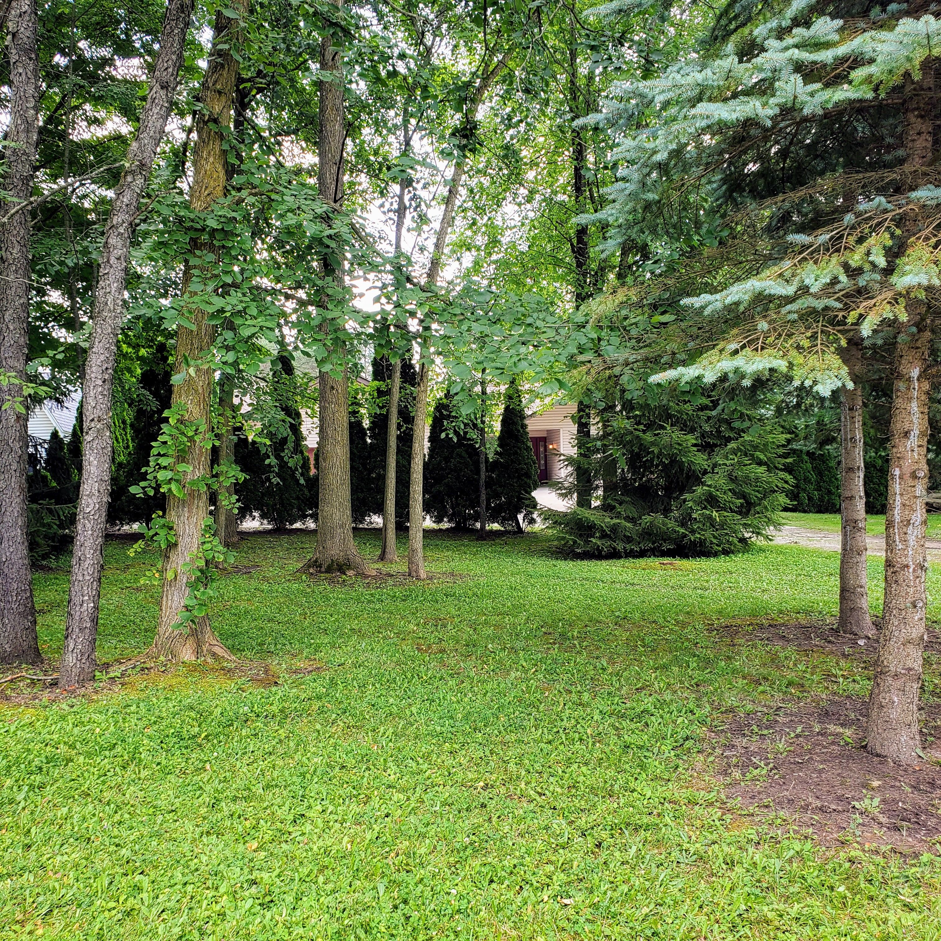 6380 E Pierson Rd Road