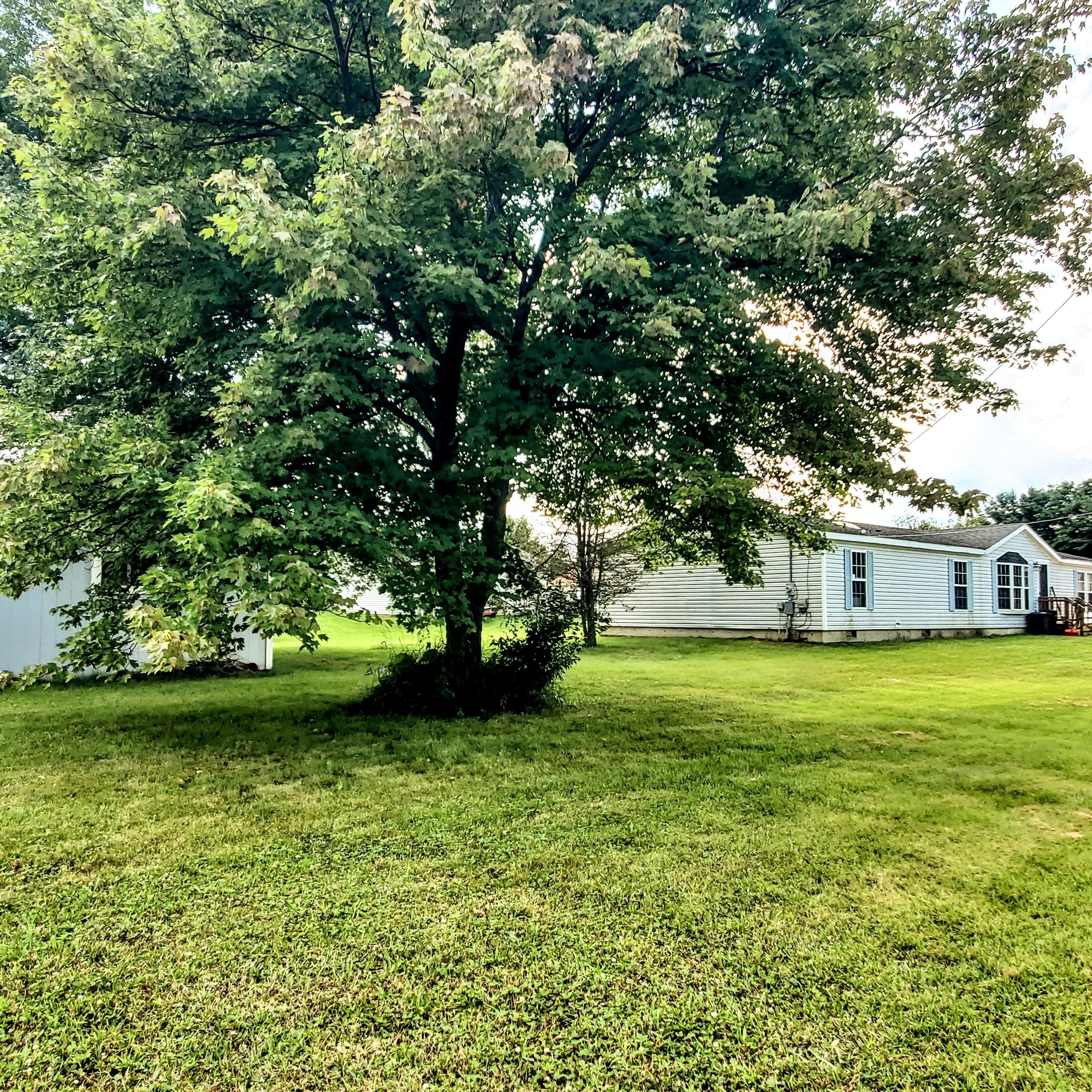 750 PEPPERMINT Street