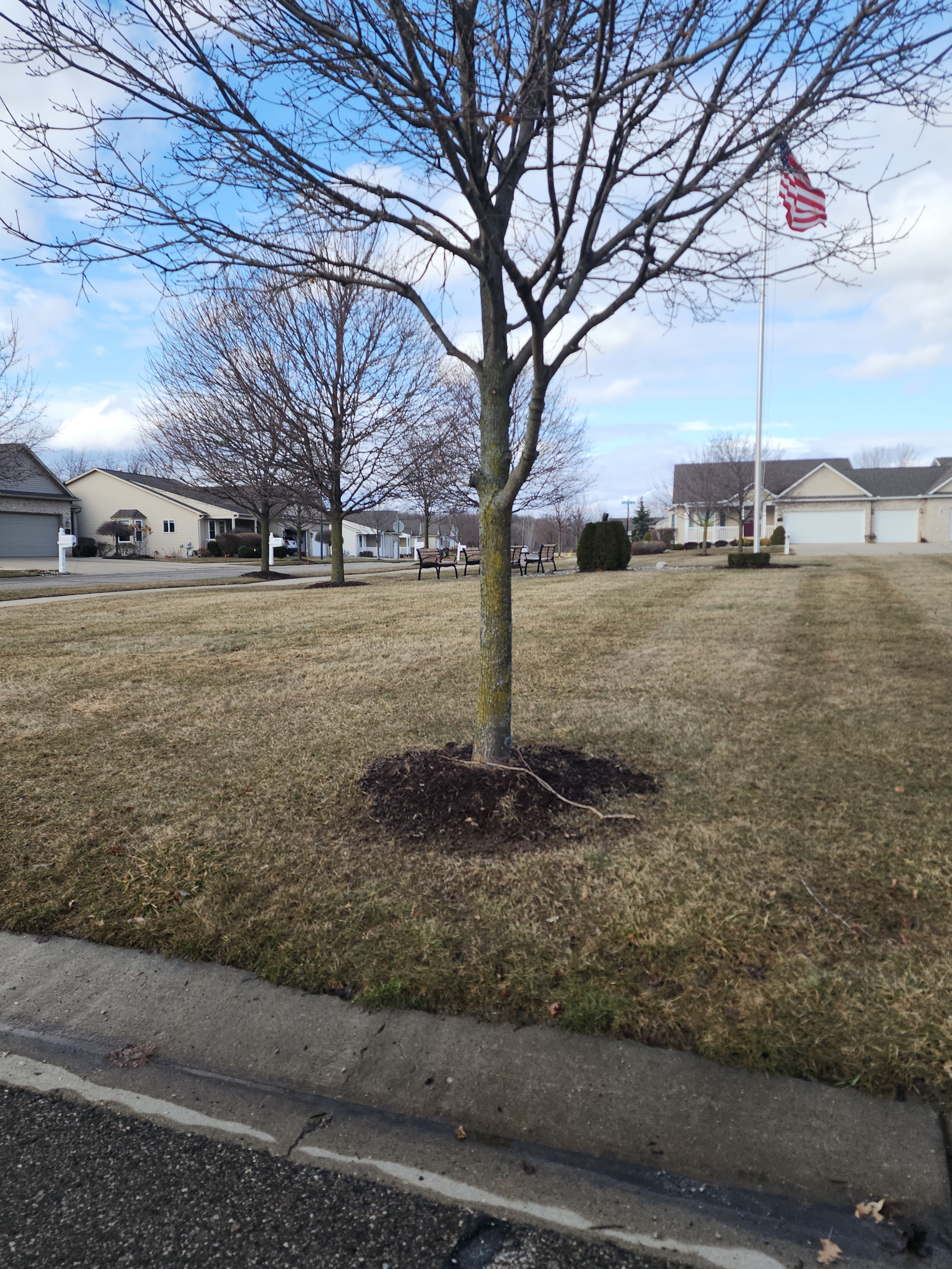 7264 MAPLECREST Circle 26