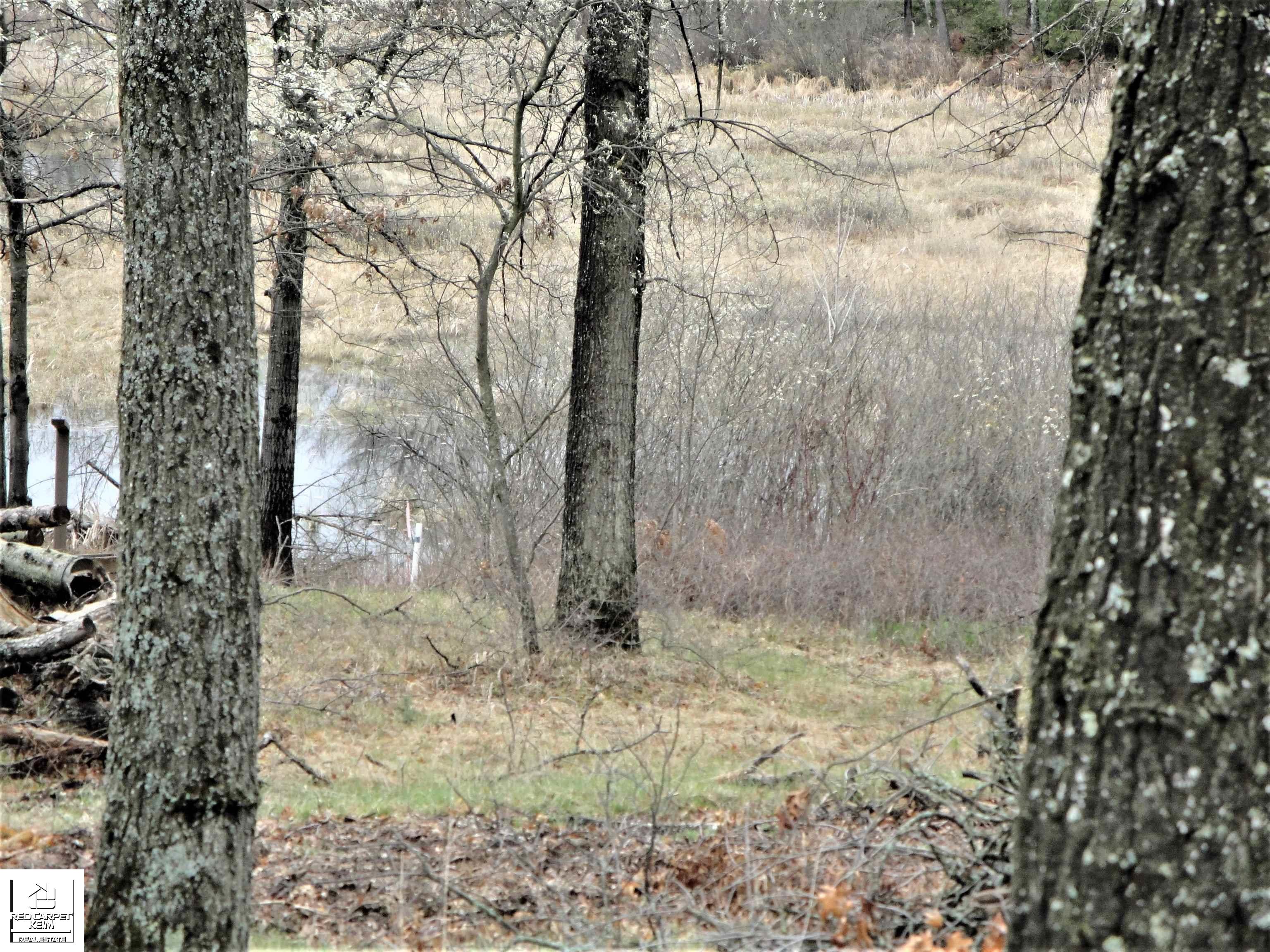 1816 S Ogemaw Trail