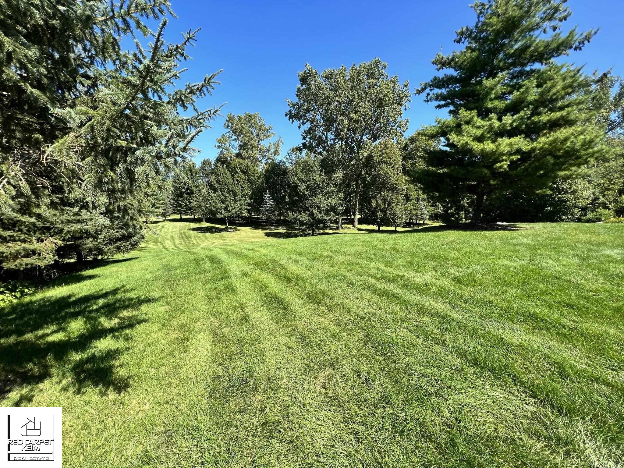 2209 Lily Court