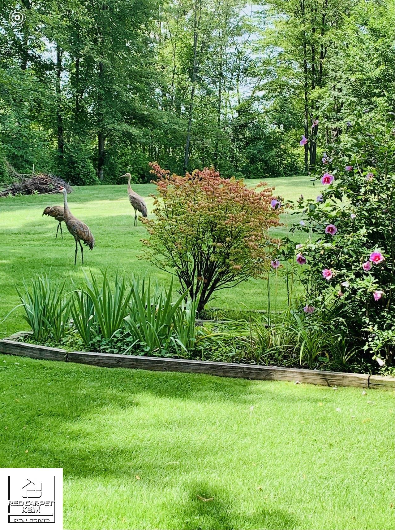3708 Wedgewood Drive Unit 9