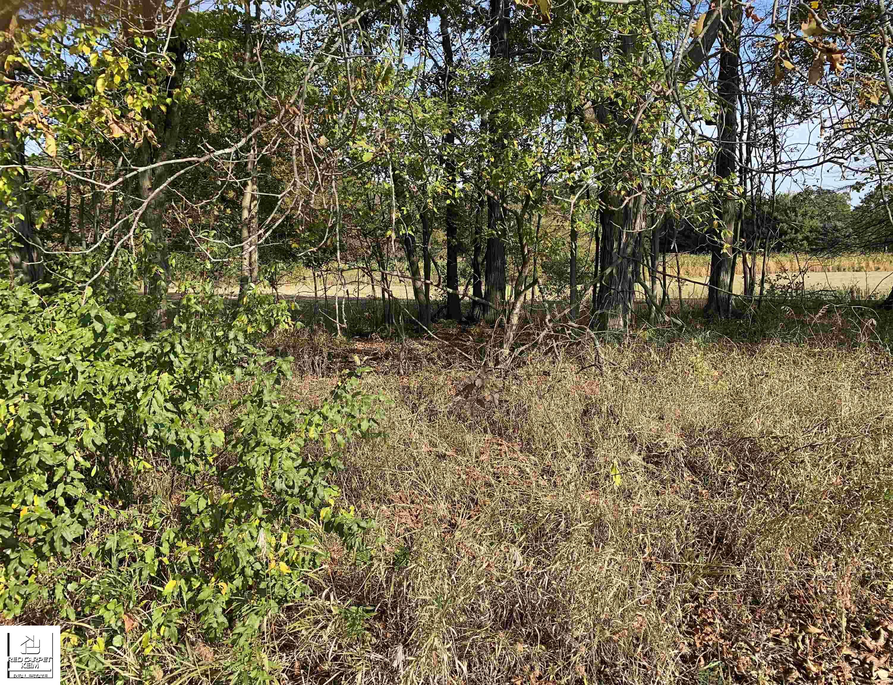 3838 Levalley Road