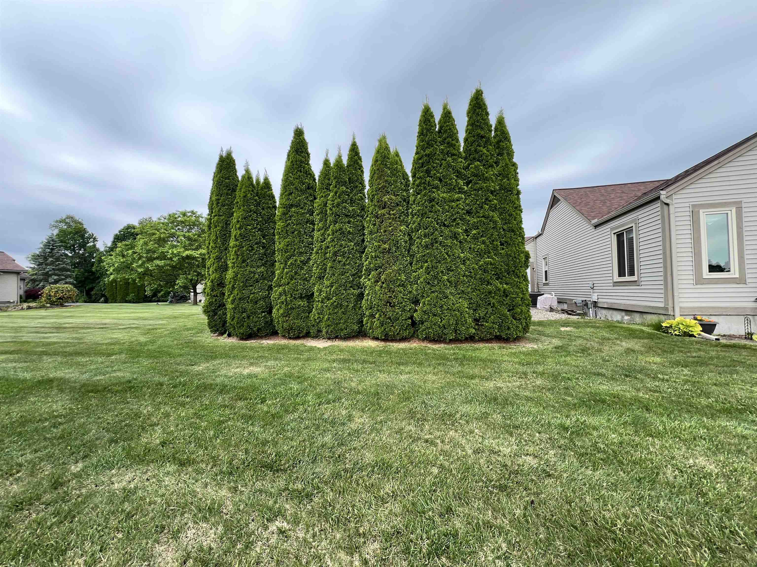 3455 Pinemeadow Court Unit 55