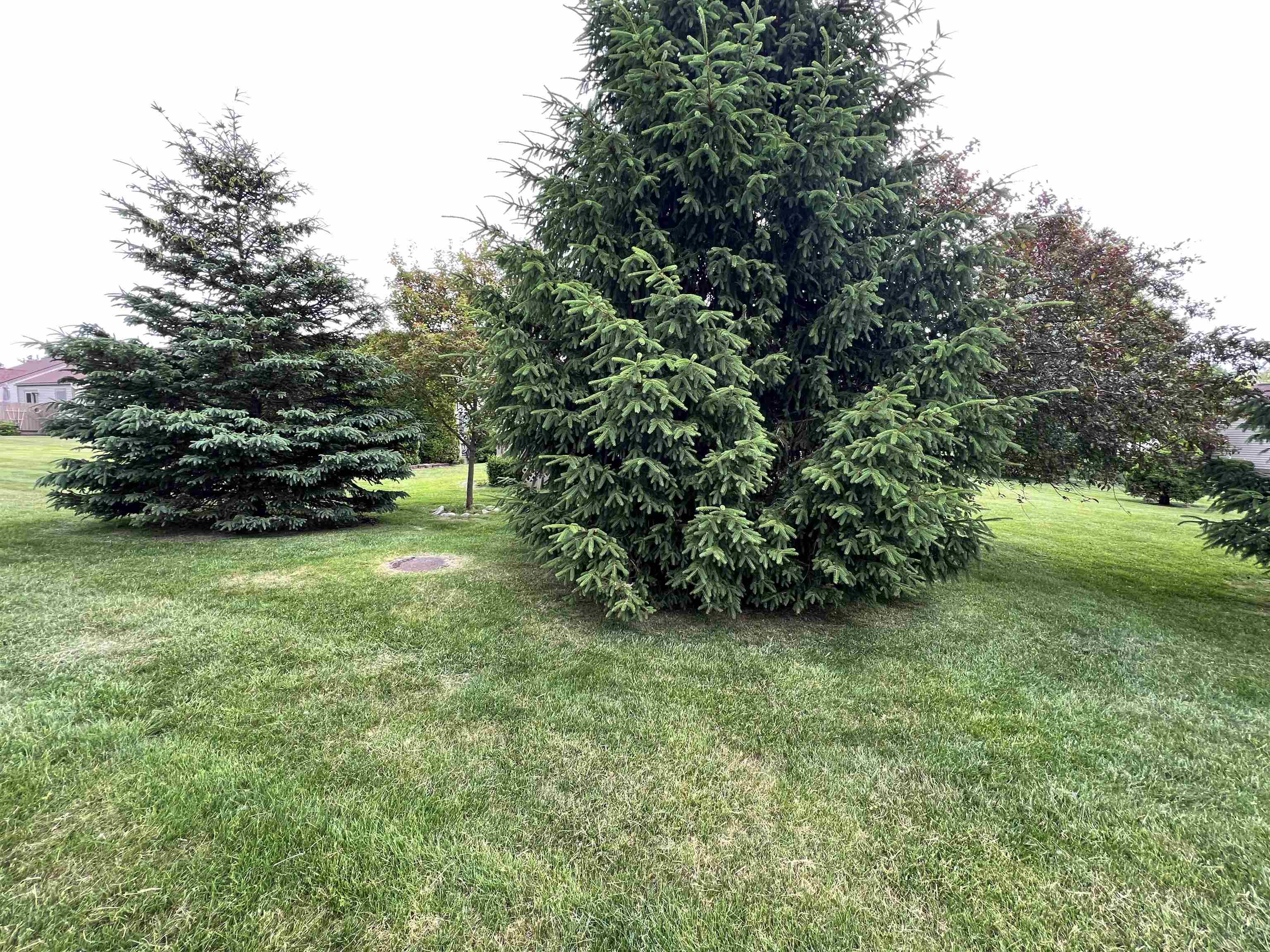 3455 Pinemeadow Court Unit 55