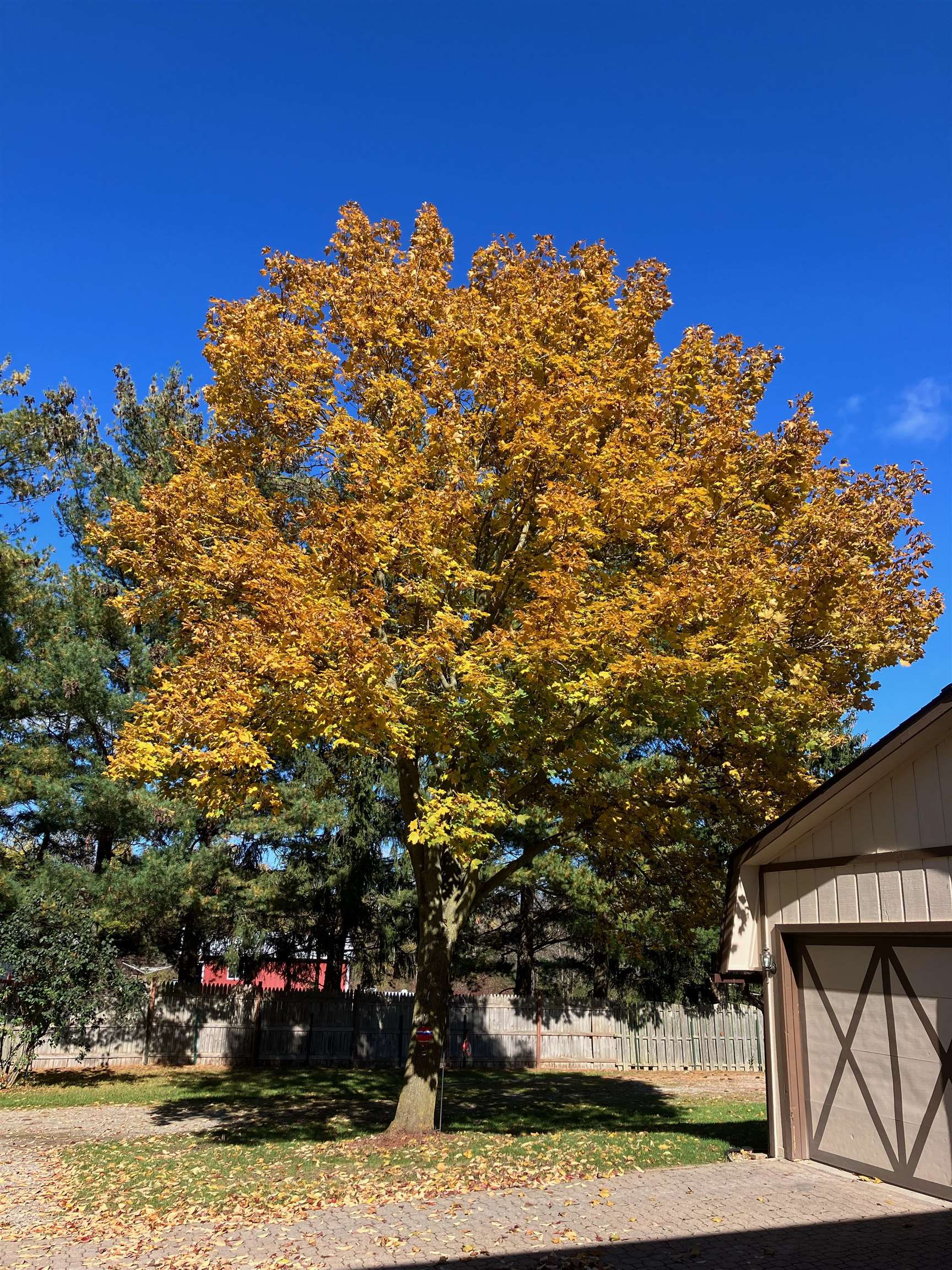 1298 N Cummings Road