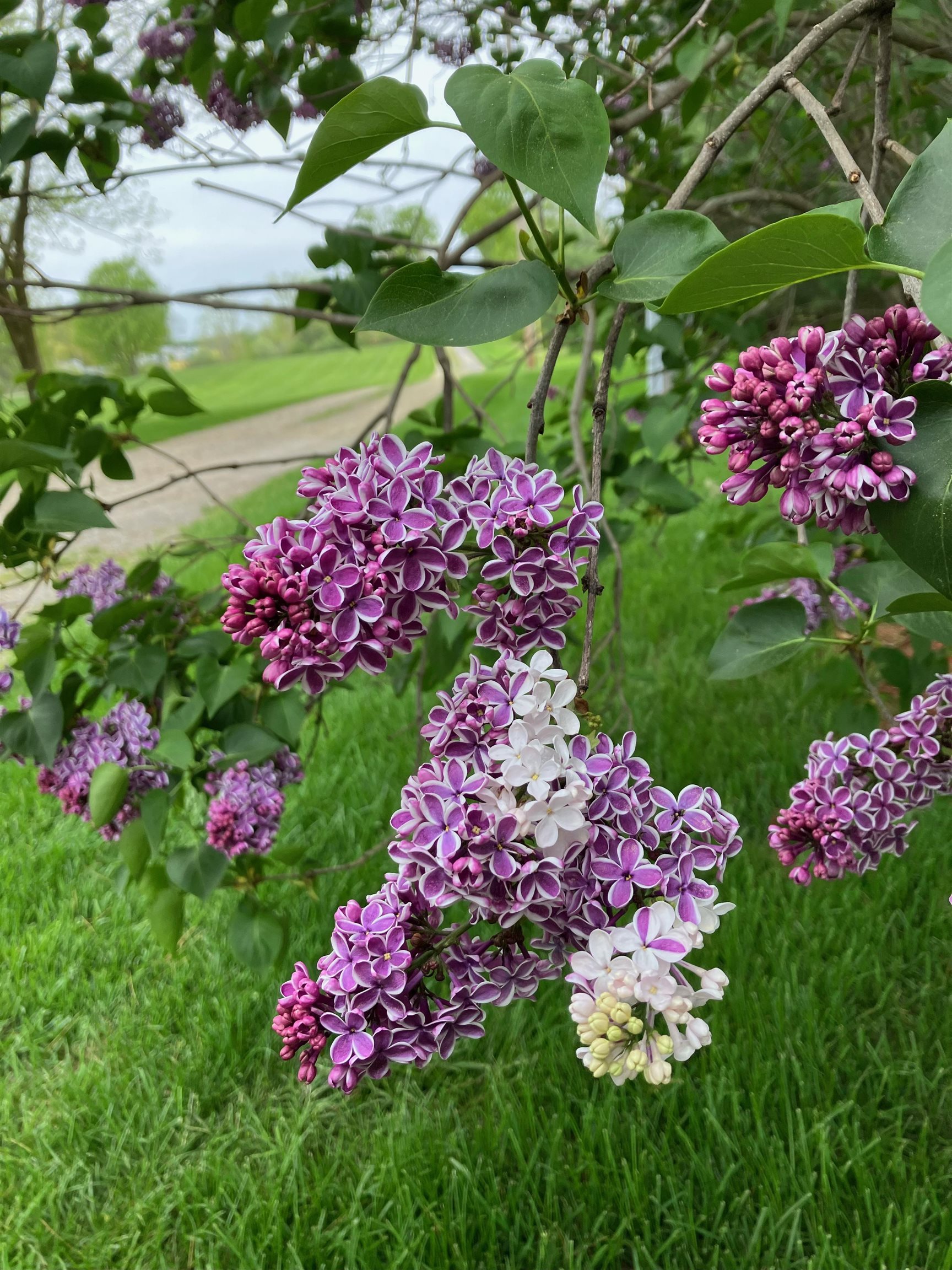 1298 N Cummings Road