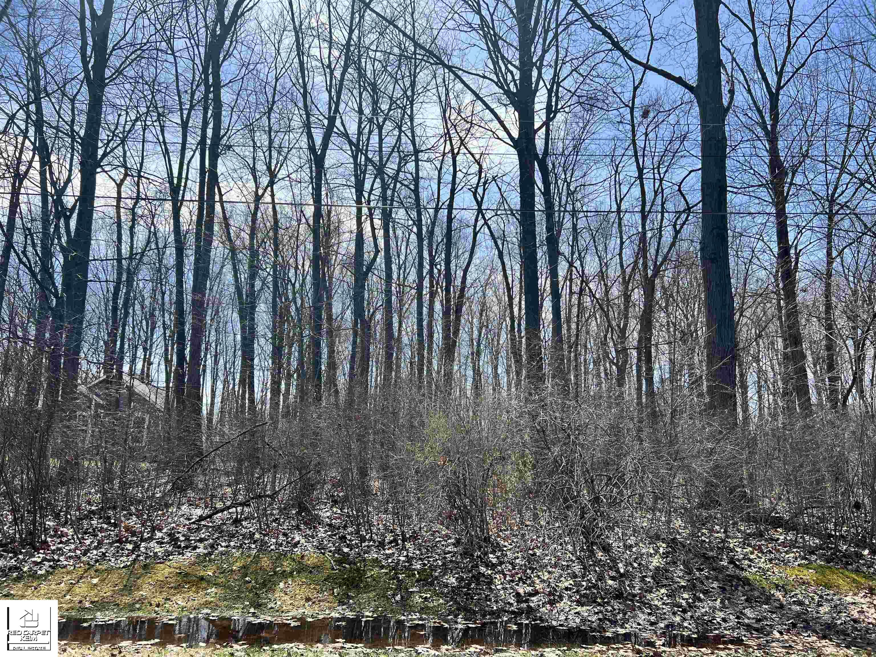 Schoolcraft Drive