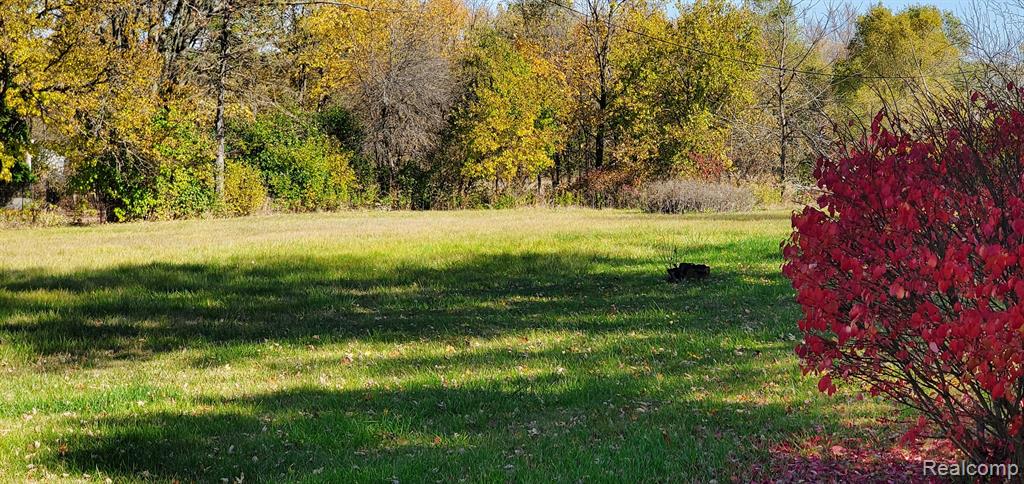 TBD Pheasant Drive