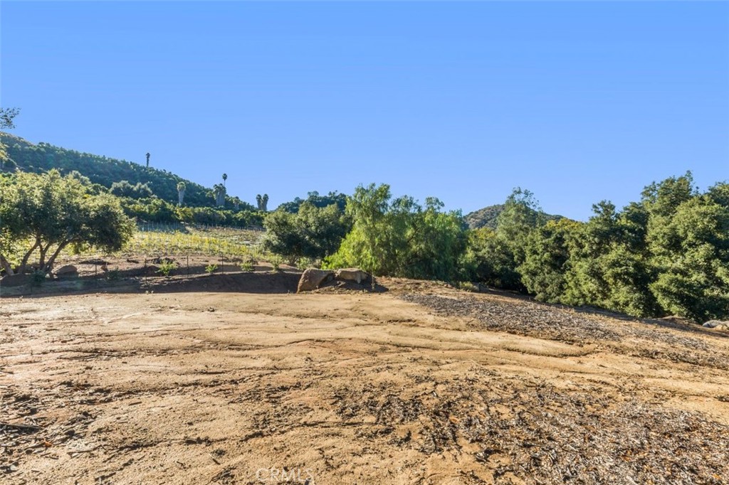 25475 Carancho Road