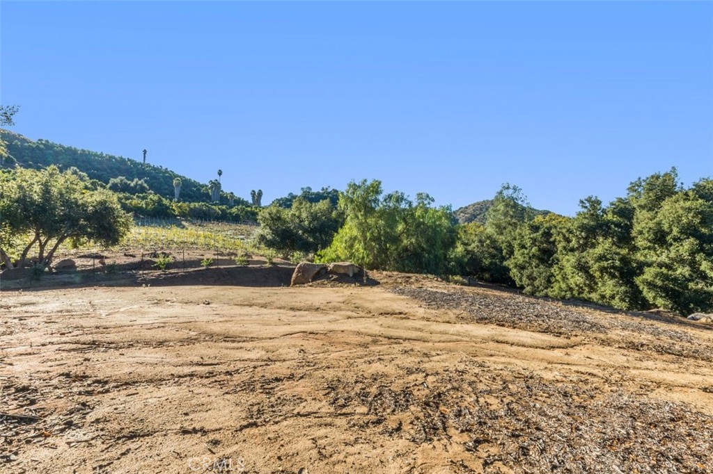 25475 Carancho Road