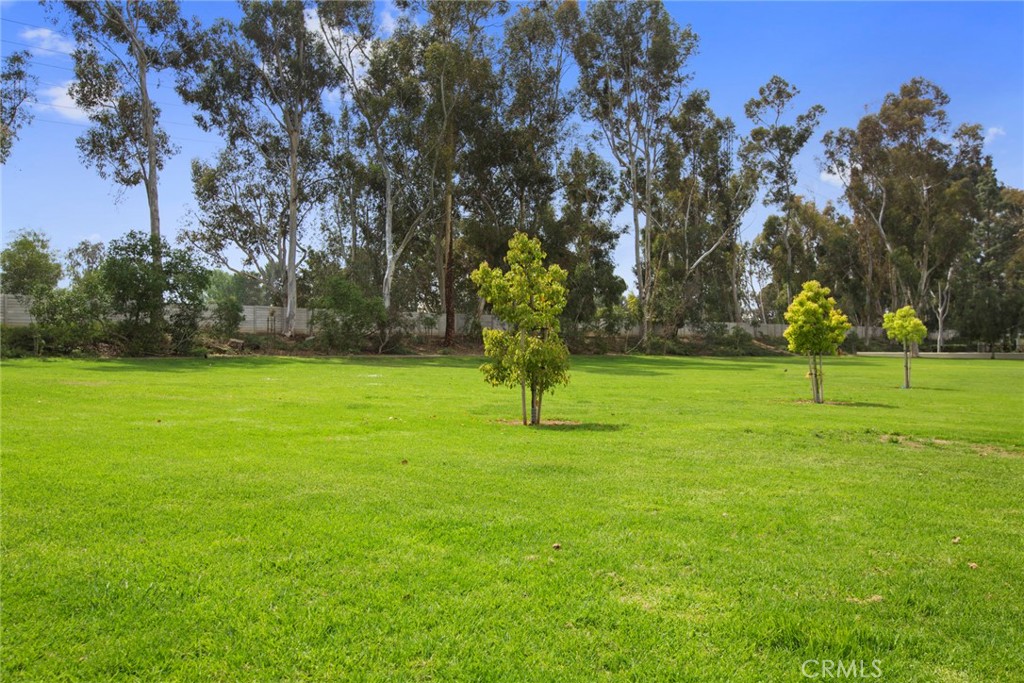86 Clearbrook Unit: 33