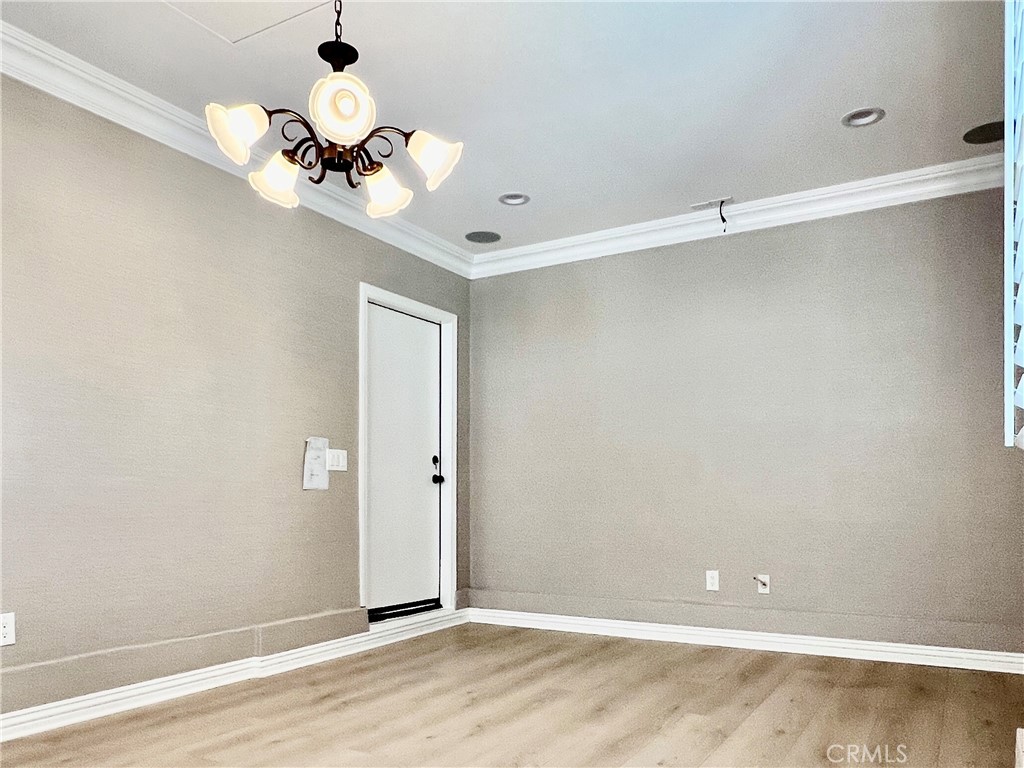 29 Lily Pool