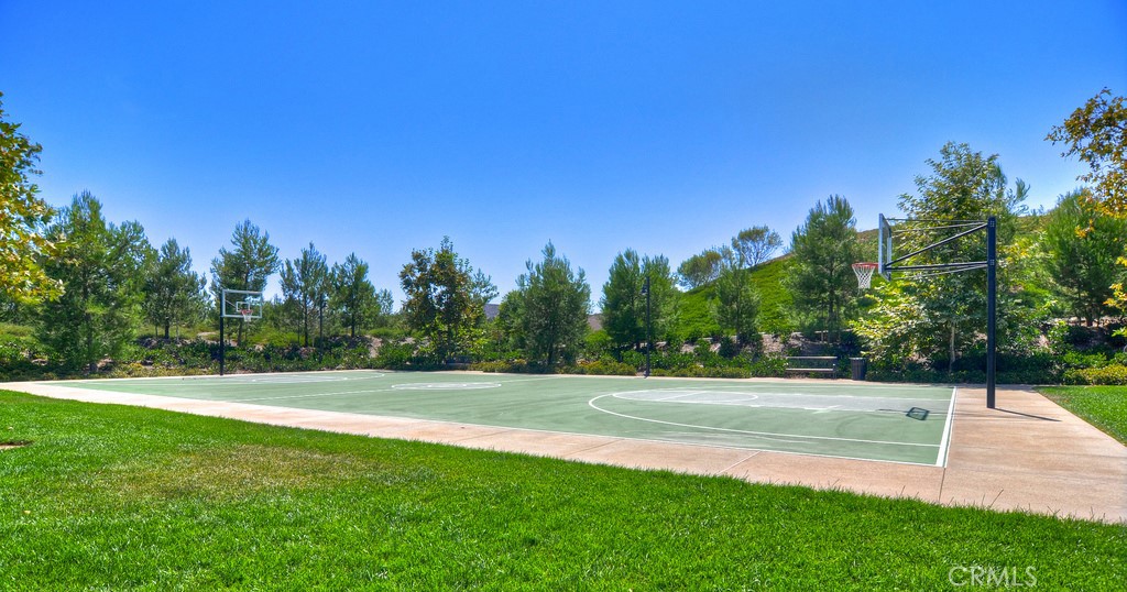 29 Lupari