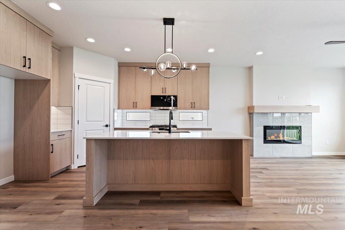 3866 W Spring House Ln