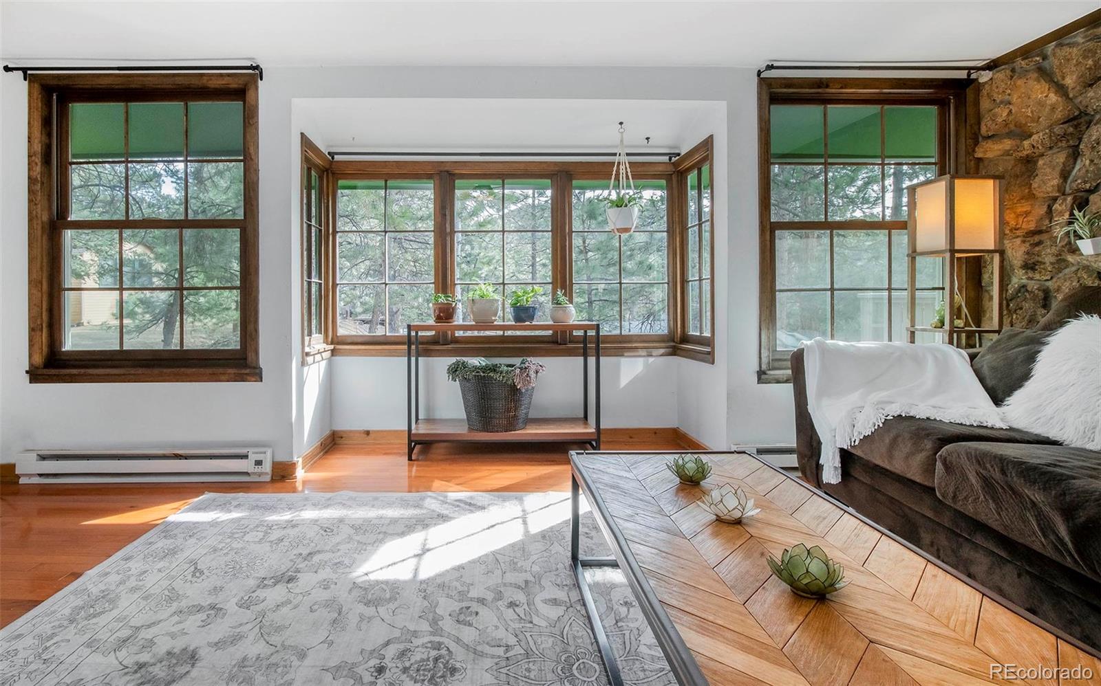 27225 Mountain Park Road