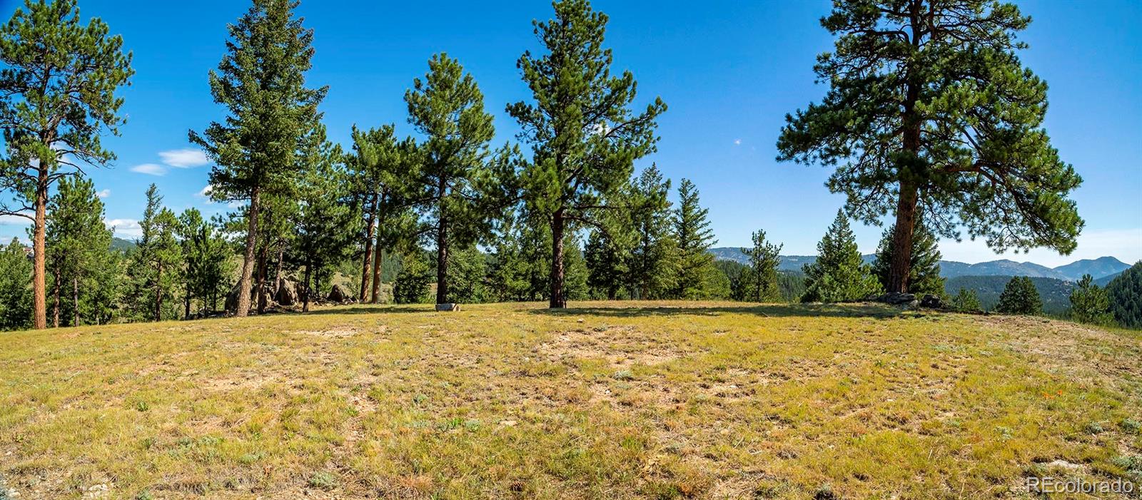3375 Timbergate Trail