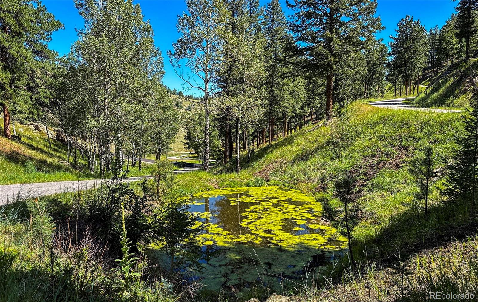 3375 Timbergate Trail