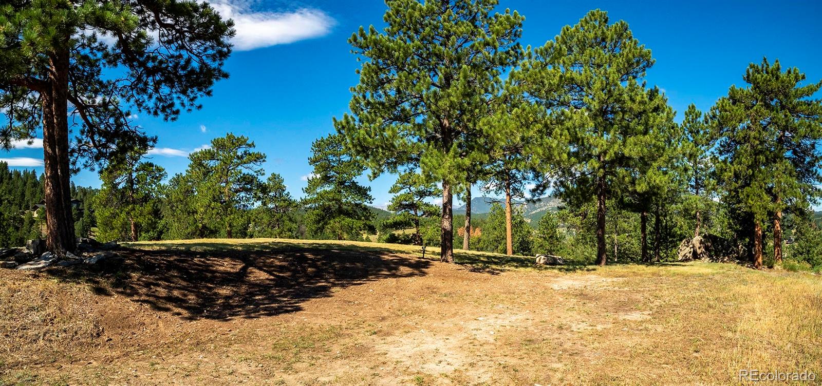 3375 Timbergate Trail