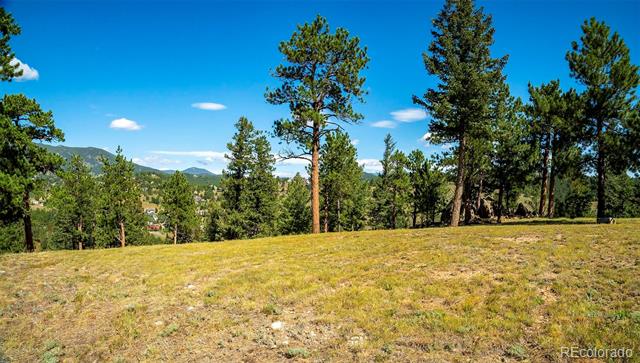 3375 Timbergate Trail