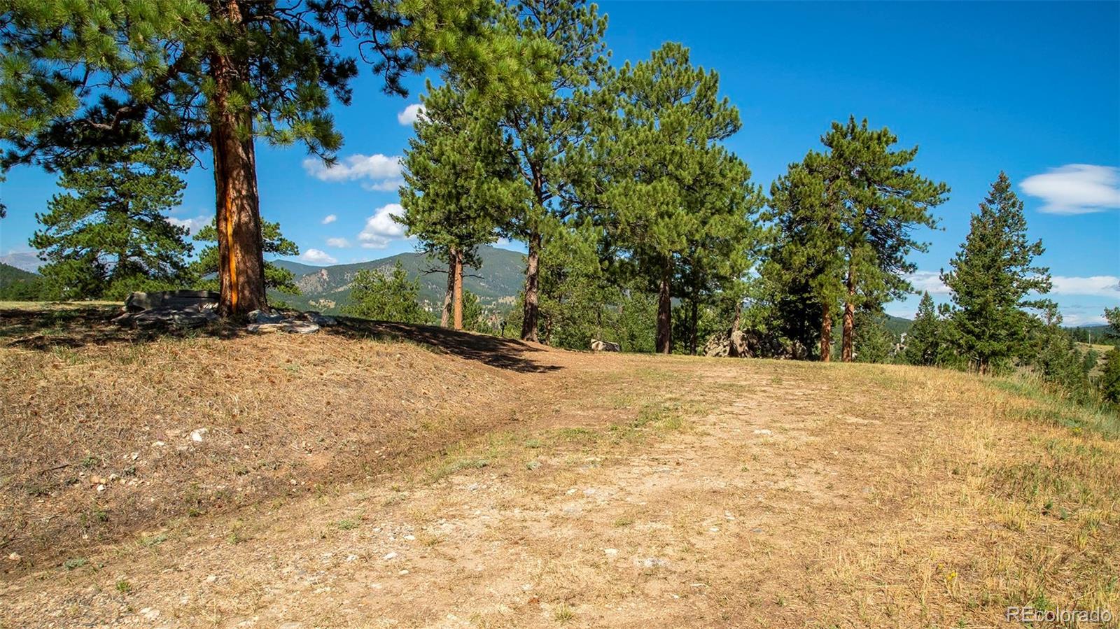 3375 Timbergate Trail