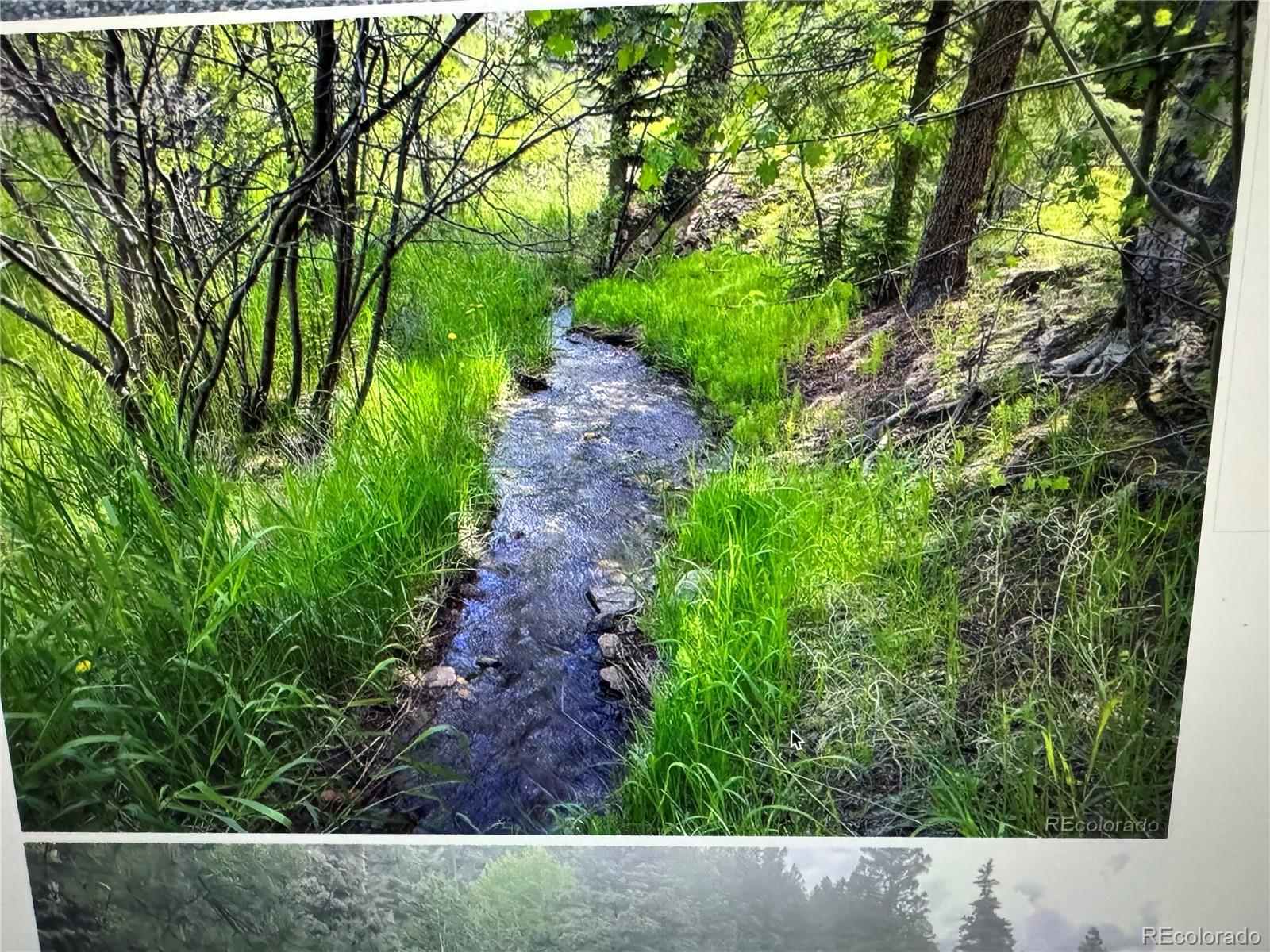 1345 Witter Gulch Road