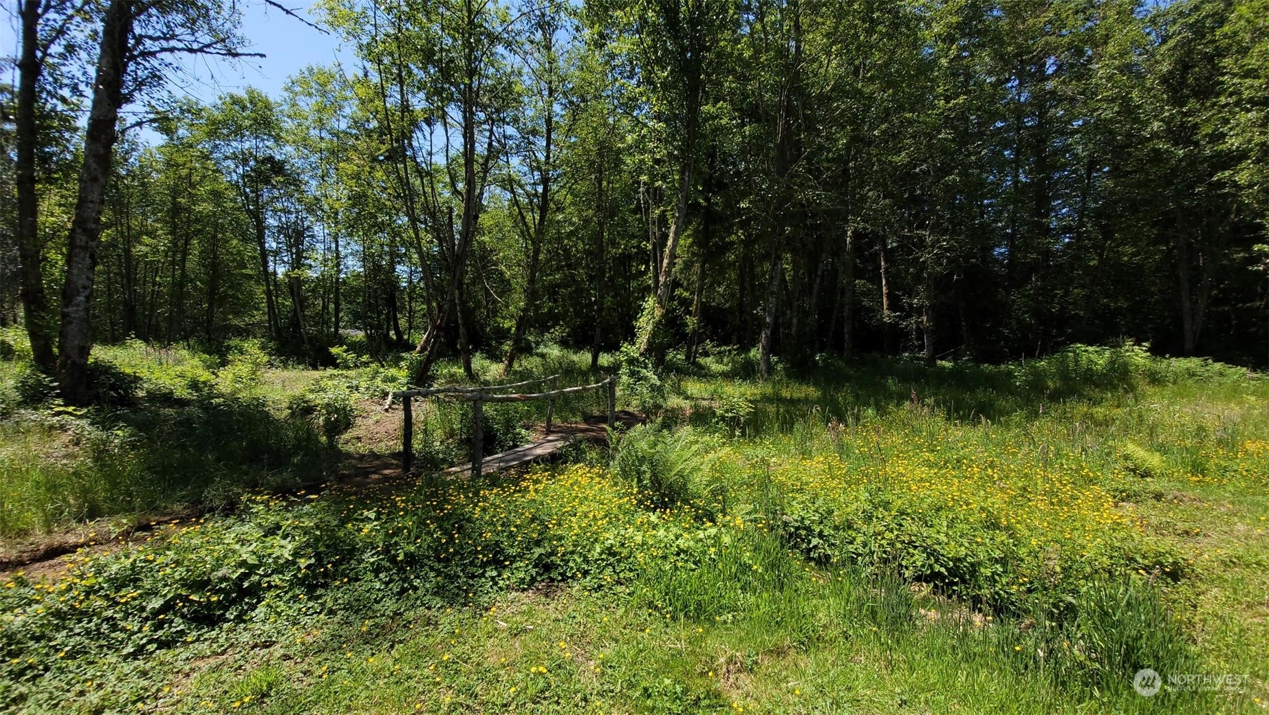 14111 234th Street E